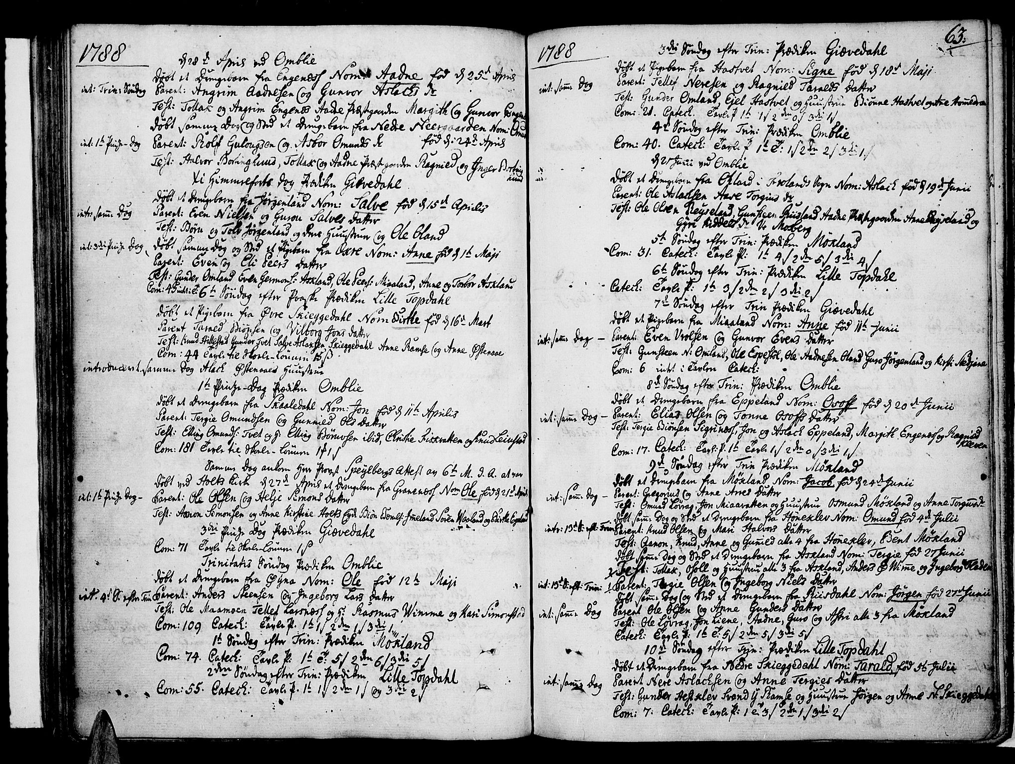 Åmli sokneprestkontor, AV/SAK-1111-0050/F/Fa/Fac/L0004: Parish register (official) no. A 4, 1775-1796, p. 63