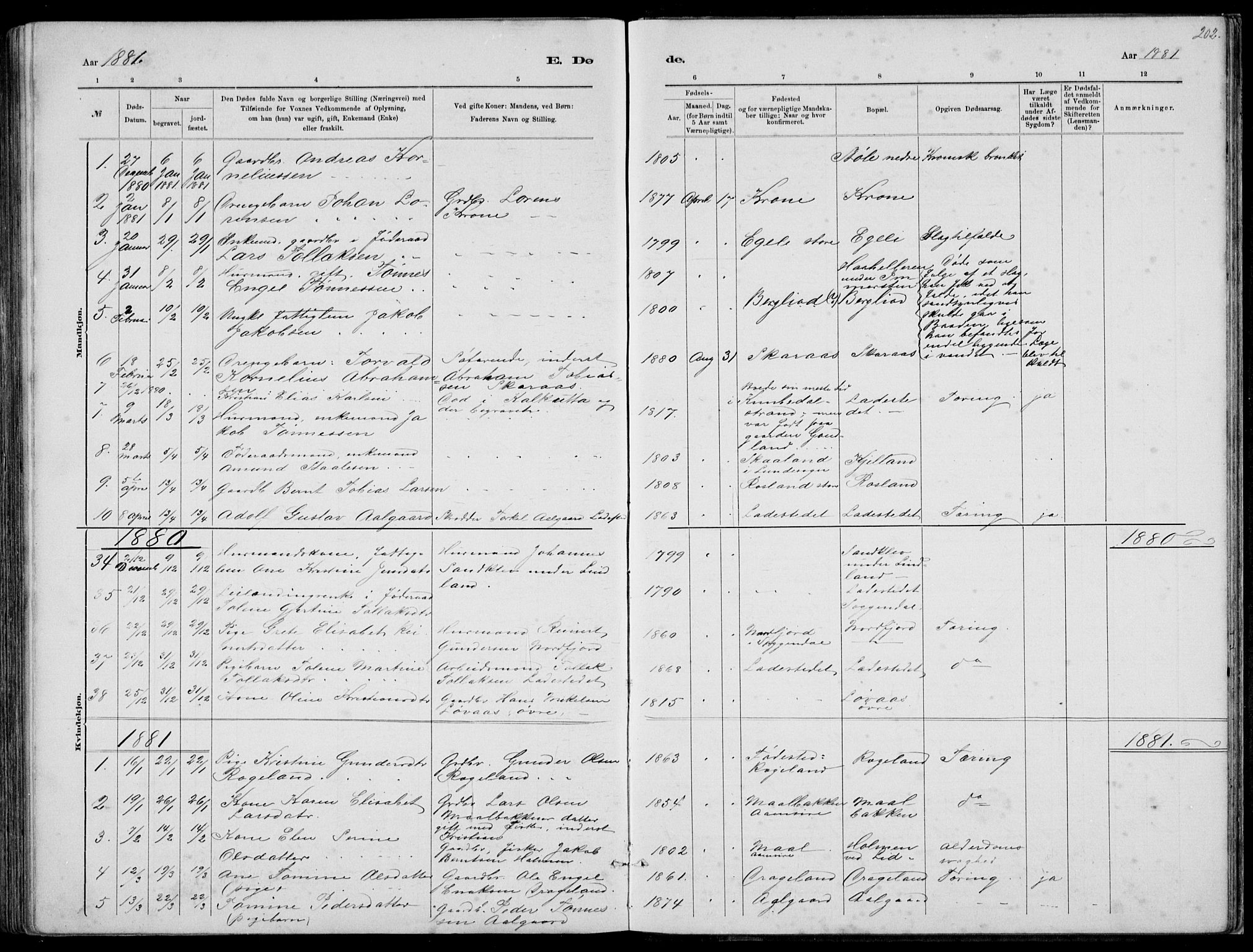 Sokndal sokneprestkontor, AV/SAST-A-101808: Parish register (copy) no. B 4, 1880-1891, p. 202