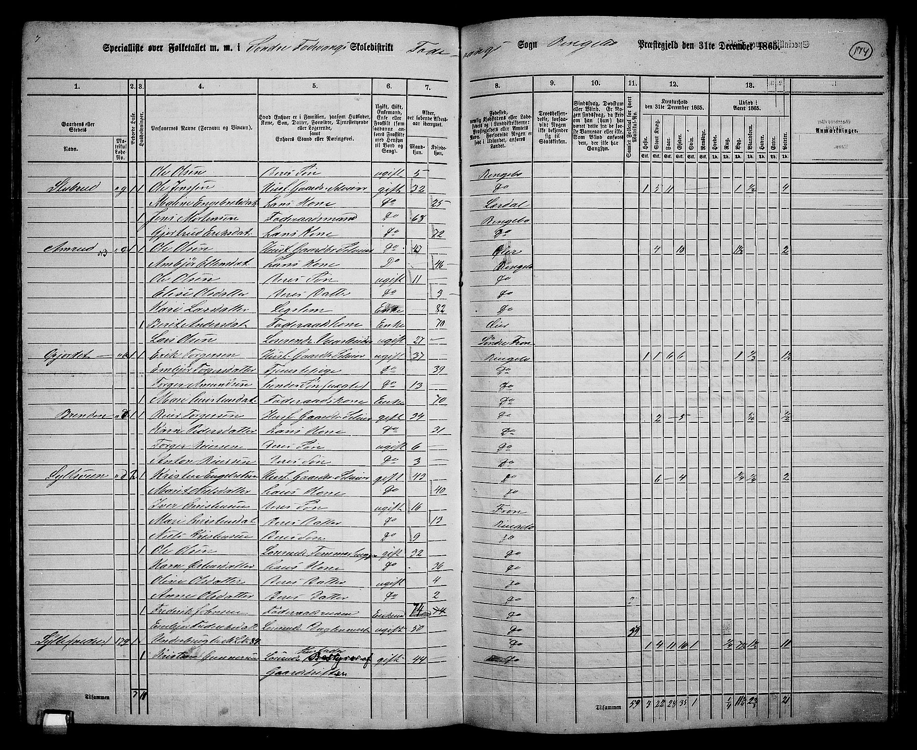 RA, 1865 census for Ringebu, 1865, p. 149