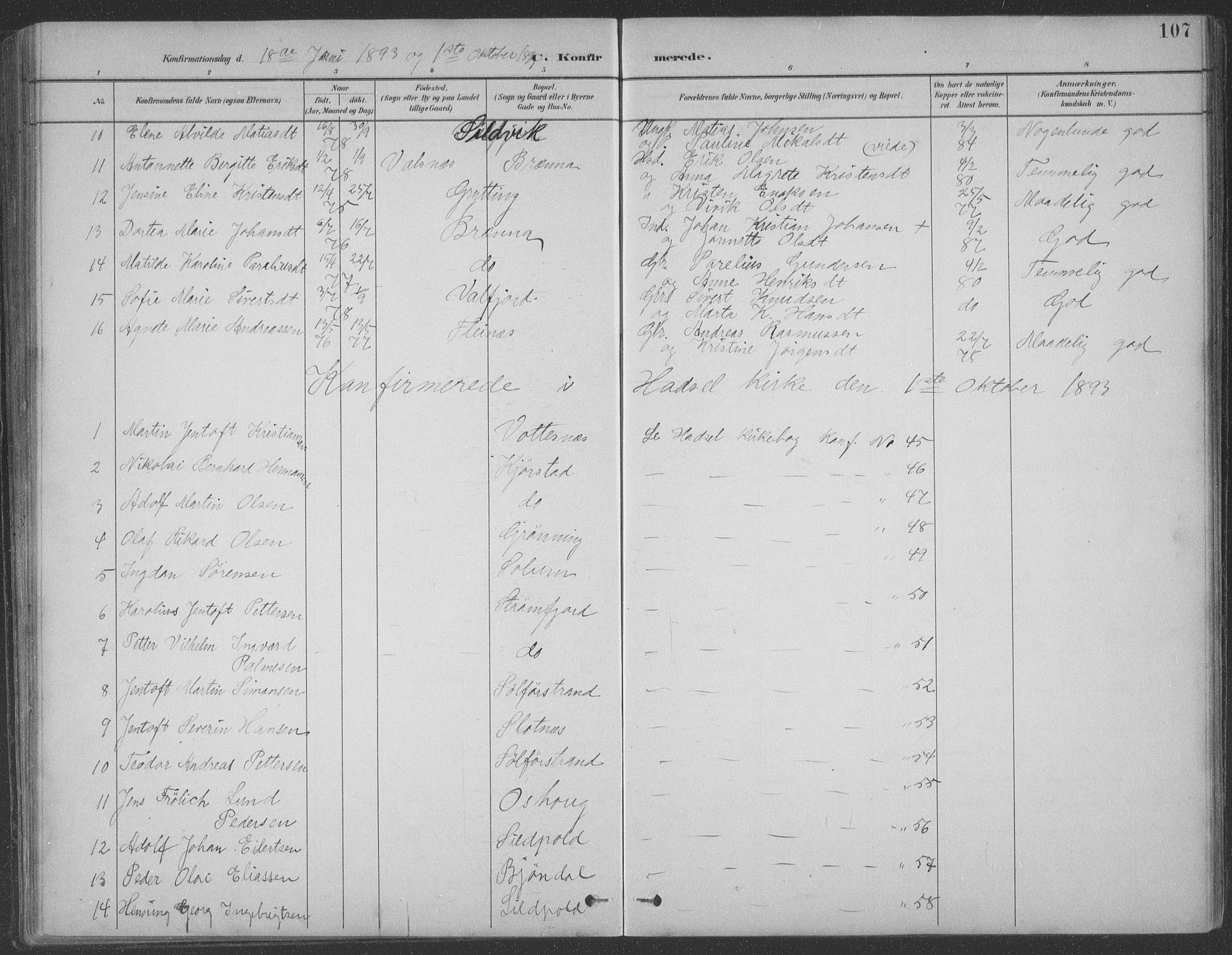 Ministerialprotokoller, klokkerbøker og fødselsregistre - Nordland, AV/SAT-A-1459/890/L1290: Parish register (copy) no. 890C01, 1882-1911, p. 107