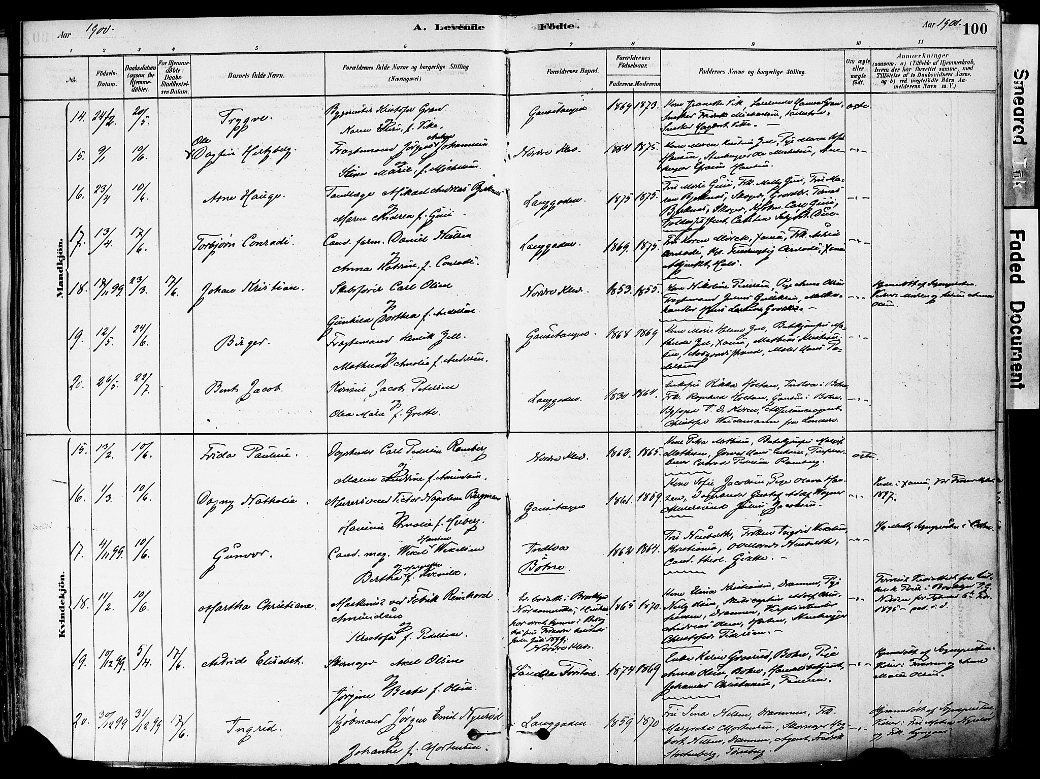 Holmestrand kirkebøker, AV/SAKO-A-346/F/Fa/L0004: Parish register (official) no. 4, 1880-1901, p. 100