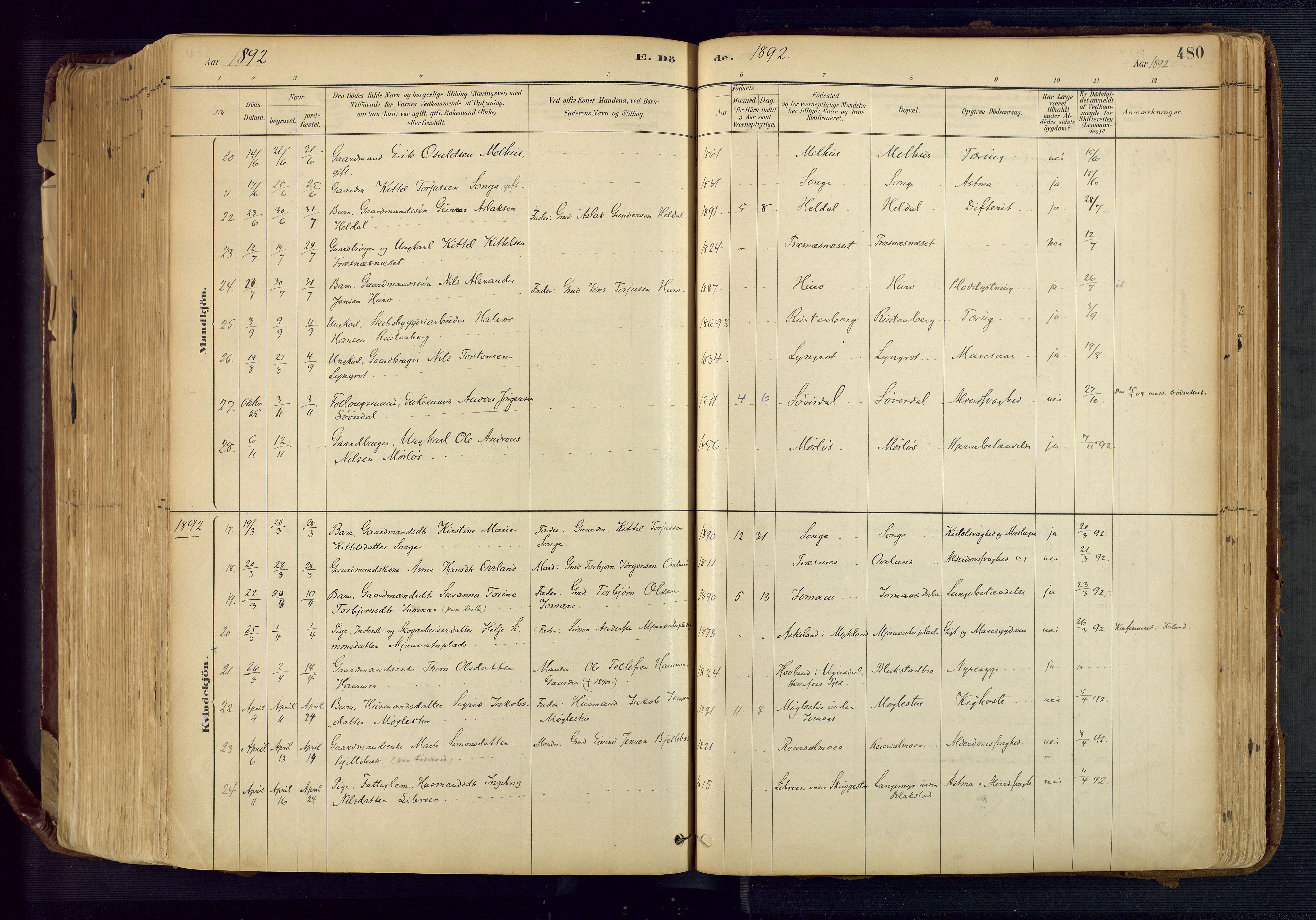 Froland sokneprestkontor, AV/SAK-1111-0013/F/Fa/L0005: Parish register (official) no. A 5, 1882-1921, p. 480