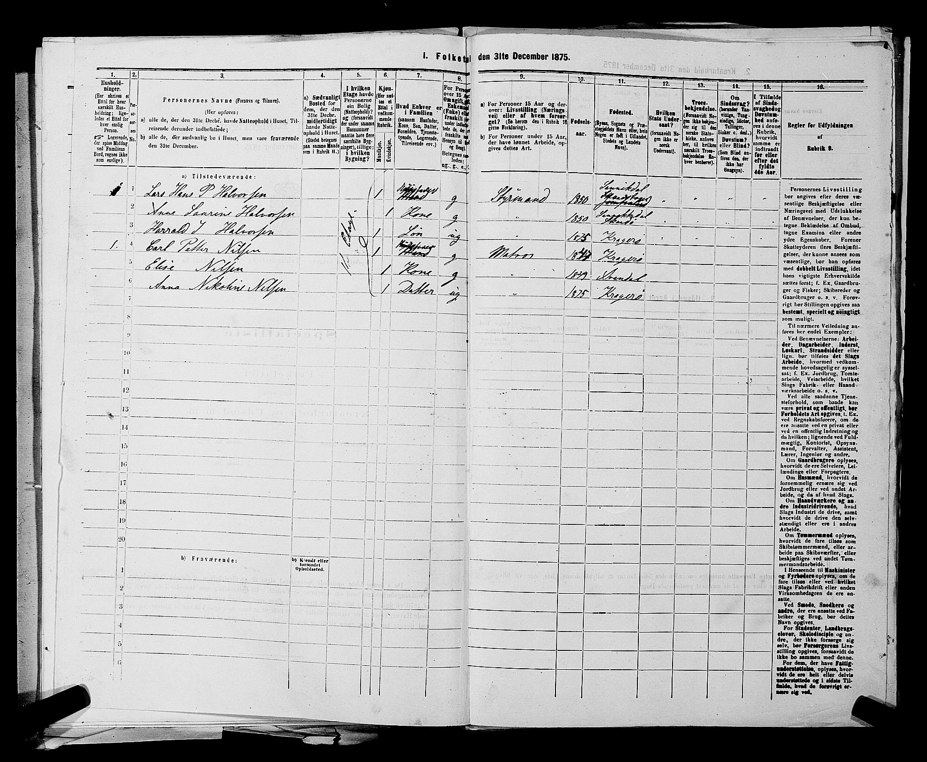 SAKO, 1875 census for 0801P Kragerø, 1875, p. 919