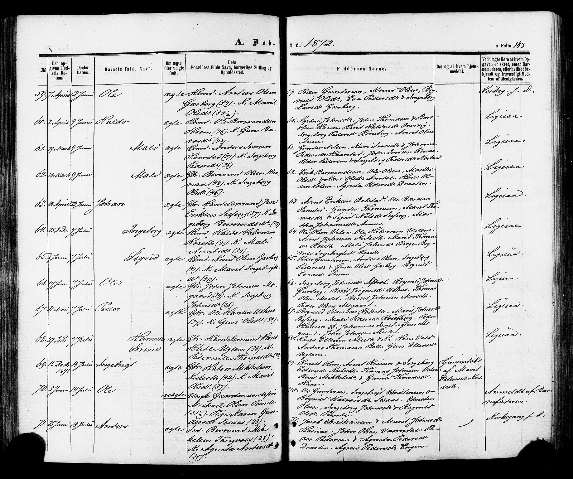 Ministerialprotokoller, klokkerbøker og fødselsregistre - Sør-Trøndelag, SAT/A-1456/695/L1147: Parish register (official) no. 695A07, 1860-1877, p. 143