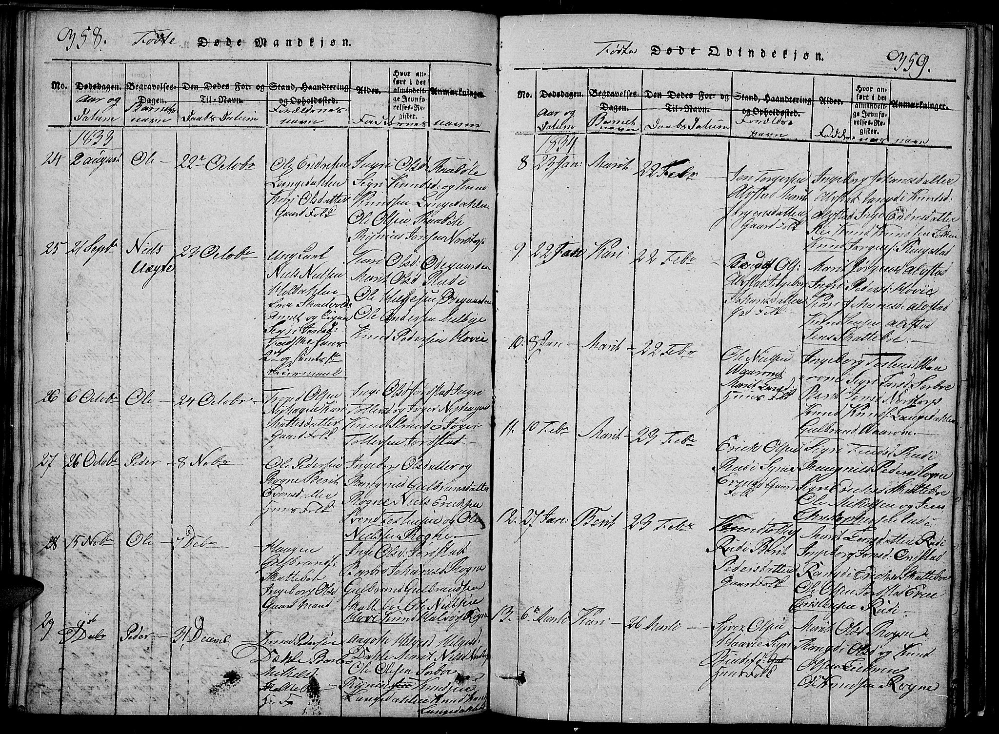 Slidre prestekontor, SAH/PREST-134/H/Ha/Hab/L0002: Parish register (copy) no. 2, 1814-1839, p. 358-359