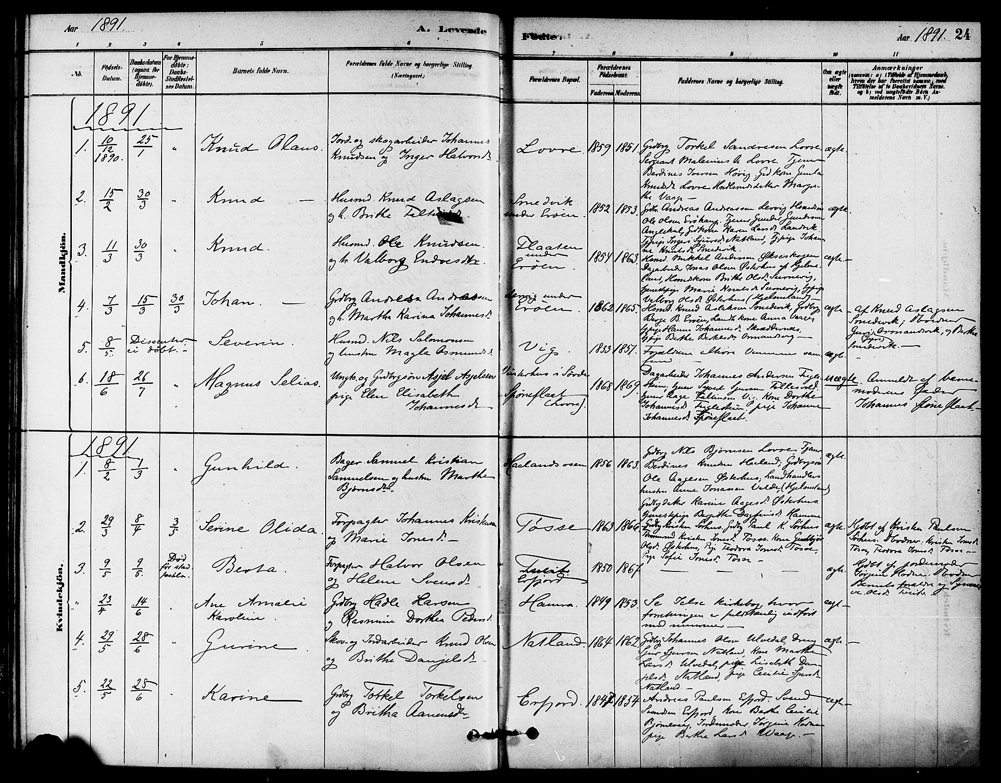 Jelsa sokneprestkontor, SAST/A-101842/01/IV: Parish register (official) no. A 9, 1878-1898, p. 24