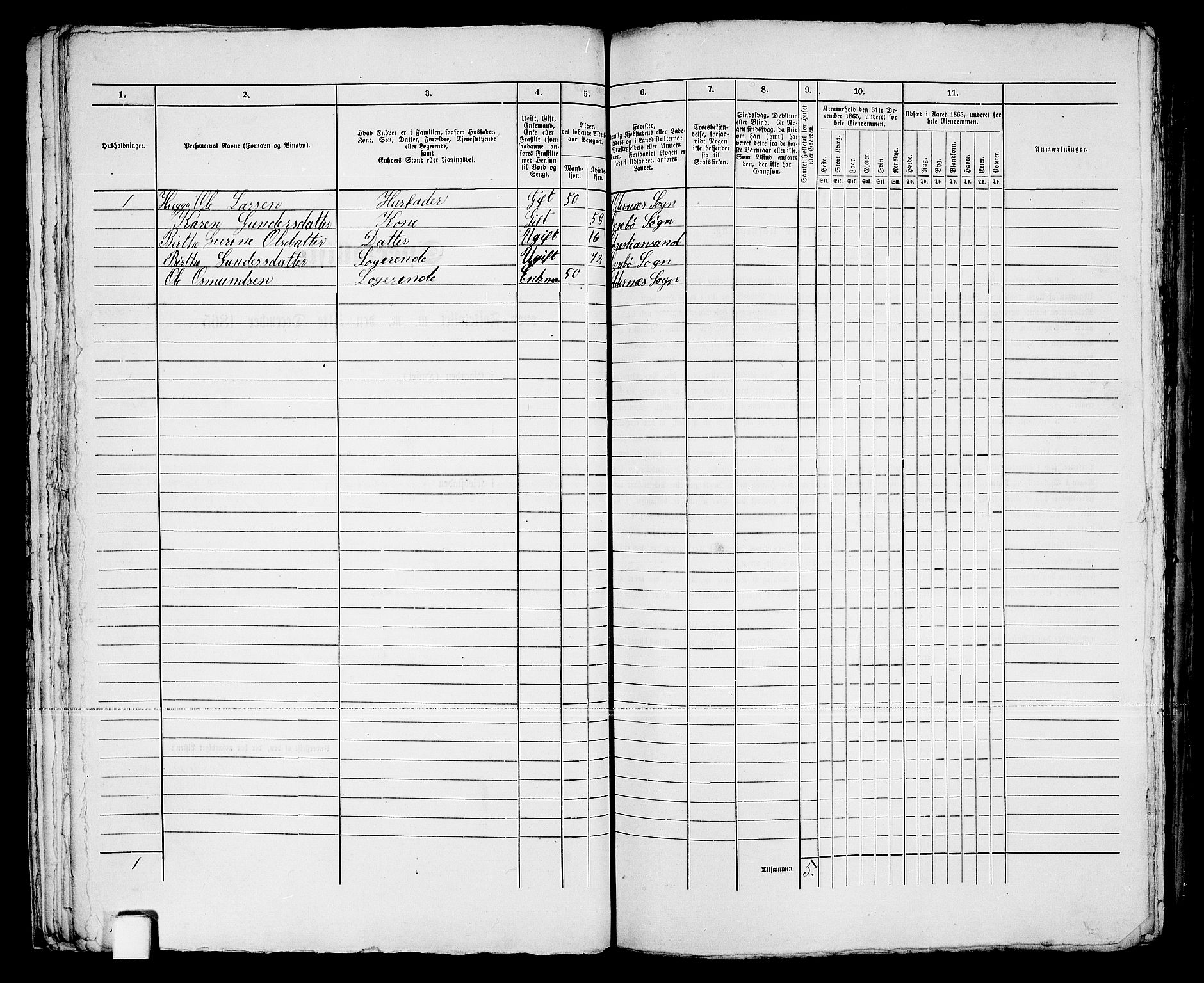 RA, 1865 census for Kristiansand, 1865, p. 1056