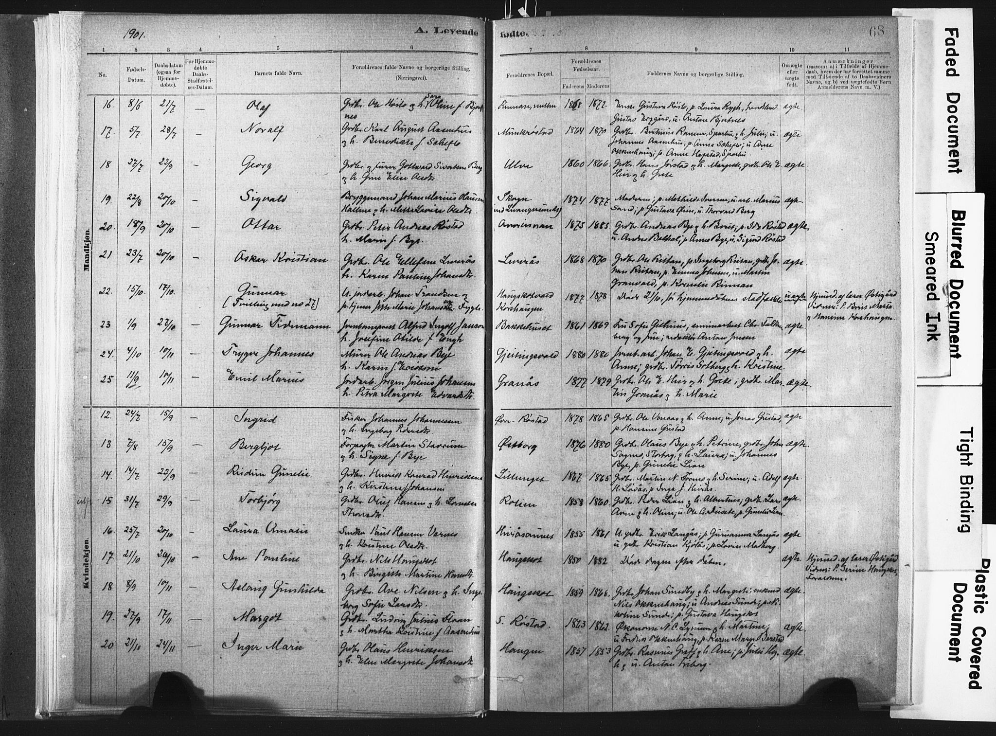 Ministerialprotokoller, klokkerbøker og fødselsregistre - Nord-Trøndelag, SAT/A-1458/721/L0207: Parish register (official) no. 721A02, 1880-1911, p. 68