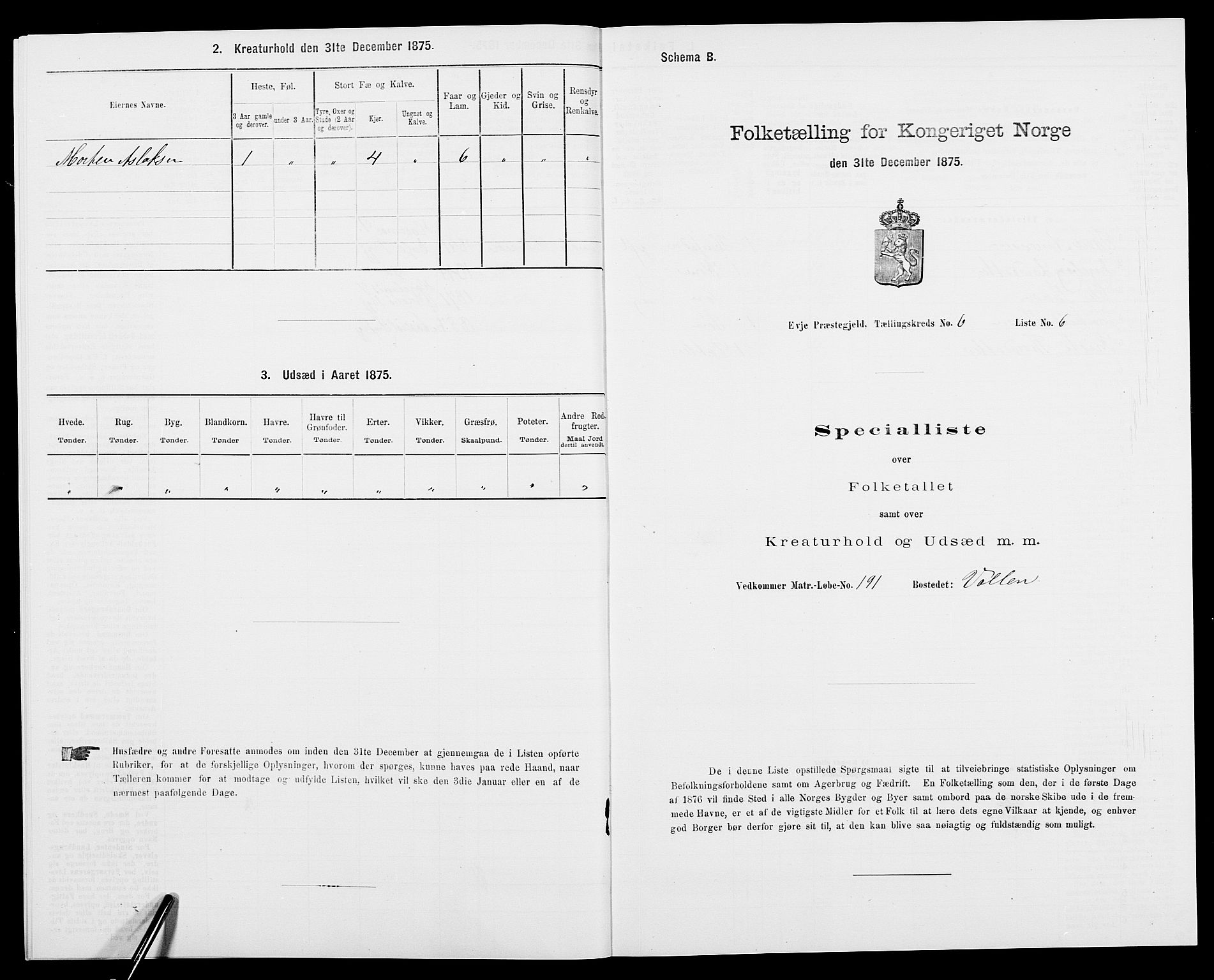 SAK, 1875 census for 0934P Evje, 1875, p. 519