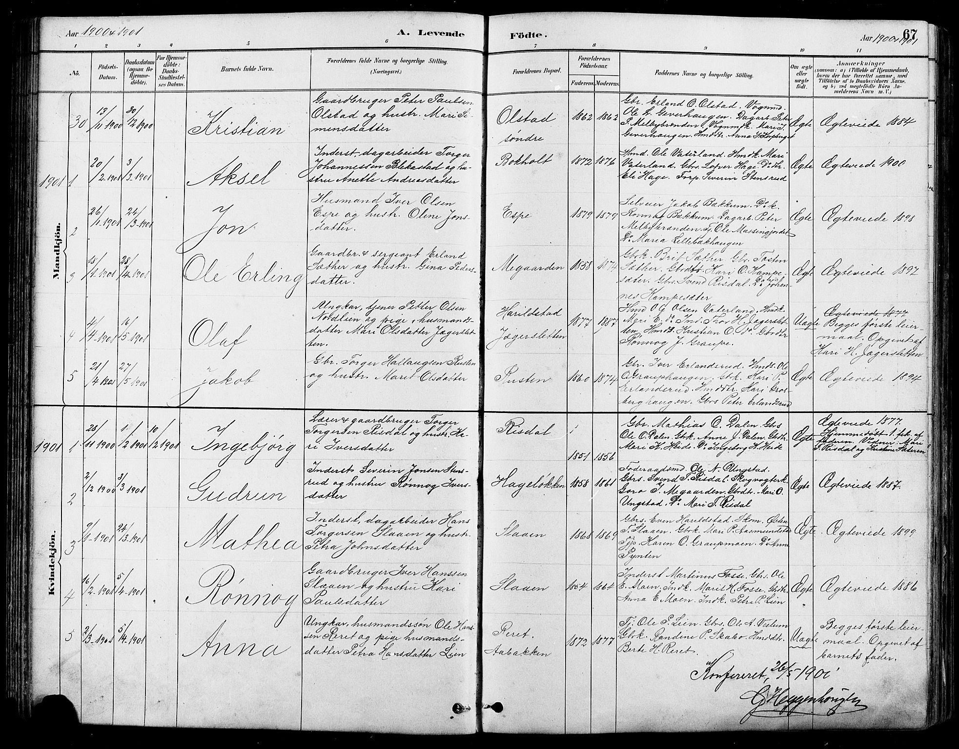 Nord-Fron prestekontor, SAH/PREST-080/H/Ha/Hab/L0005: Parish register (copy) no. 5, 1884-1914, p. 67