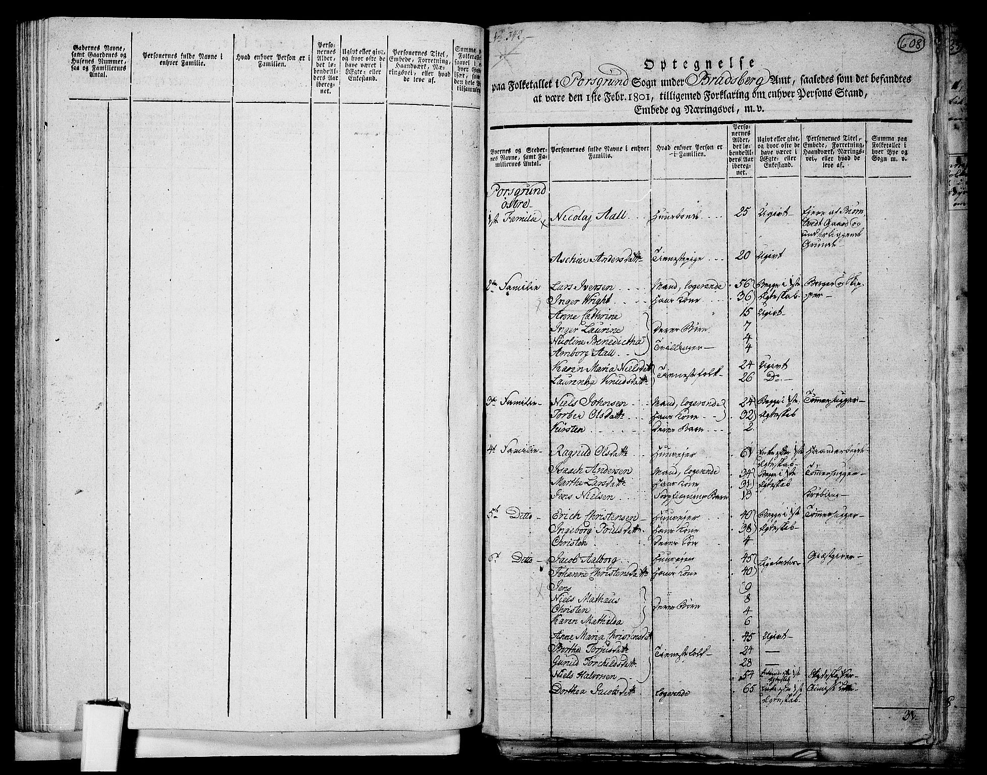 RA, 1801 census for 0805P Porsgrunn, 1801, p. 608a