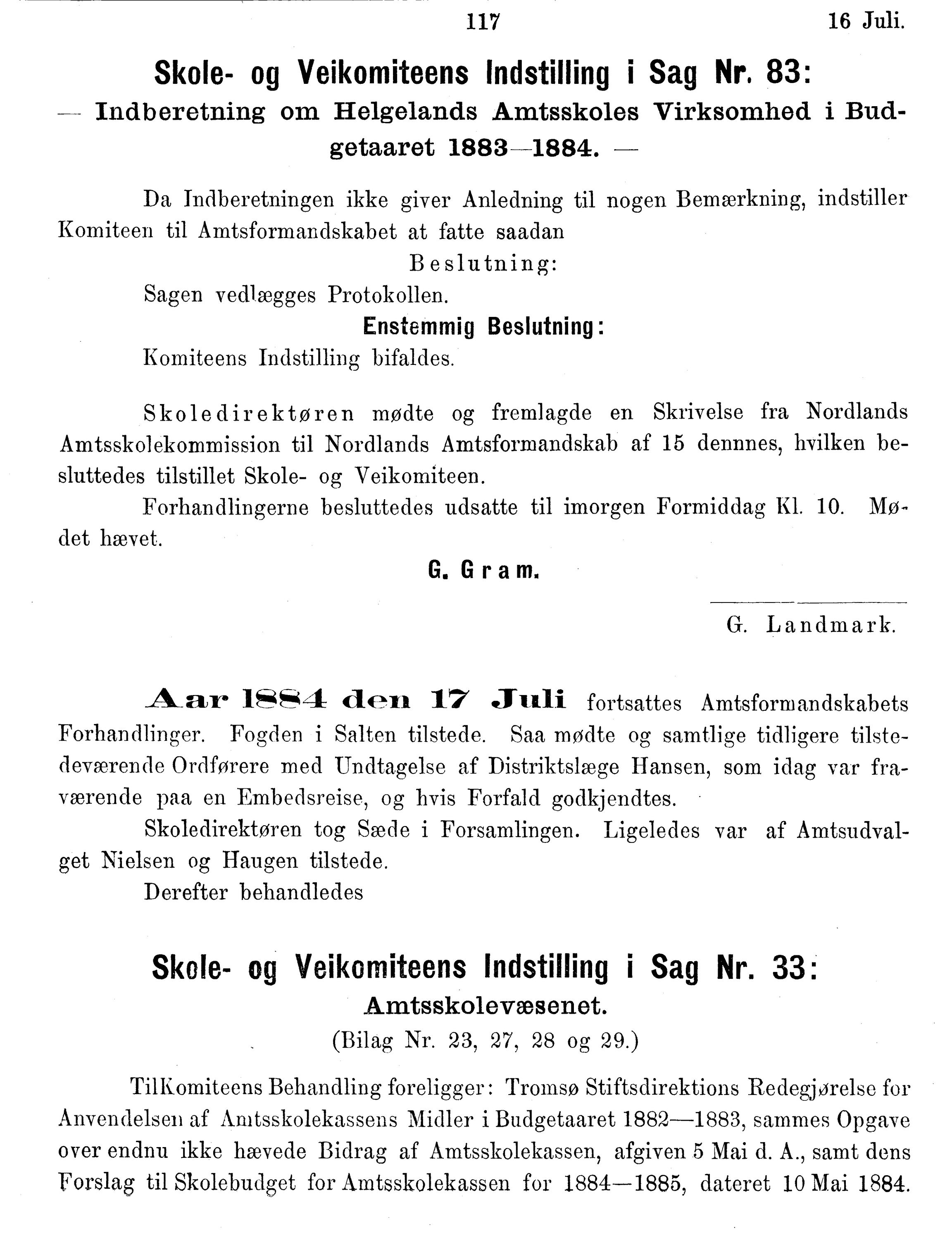 Nordland Fylkeskommune. Fylkestinget, AIN/NFK-17/176/A/Ac/L0014: Fylkestingsforhandlinger 1881-1885, 1881-1885, p. 117