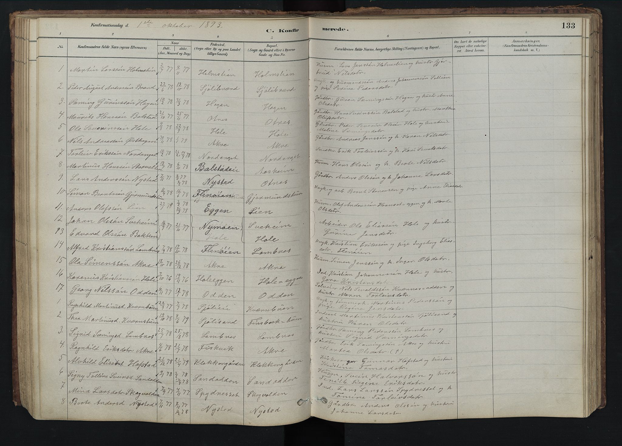 Rendalen prestekontor, SAH/PREST-054/H/Ha/Hab/L0009: Parish register (copy) no. 9, 1879-1902, p. 133