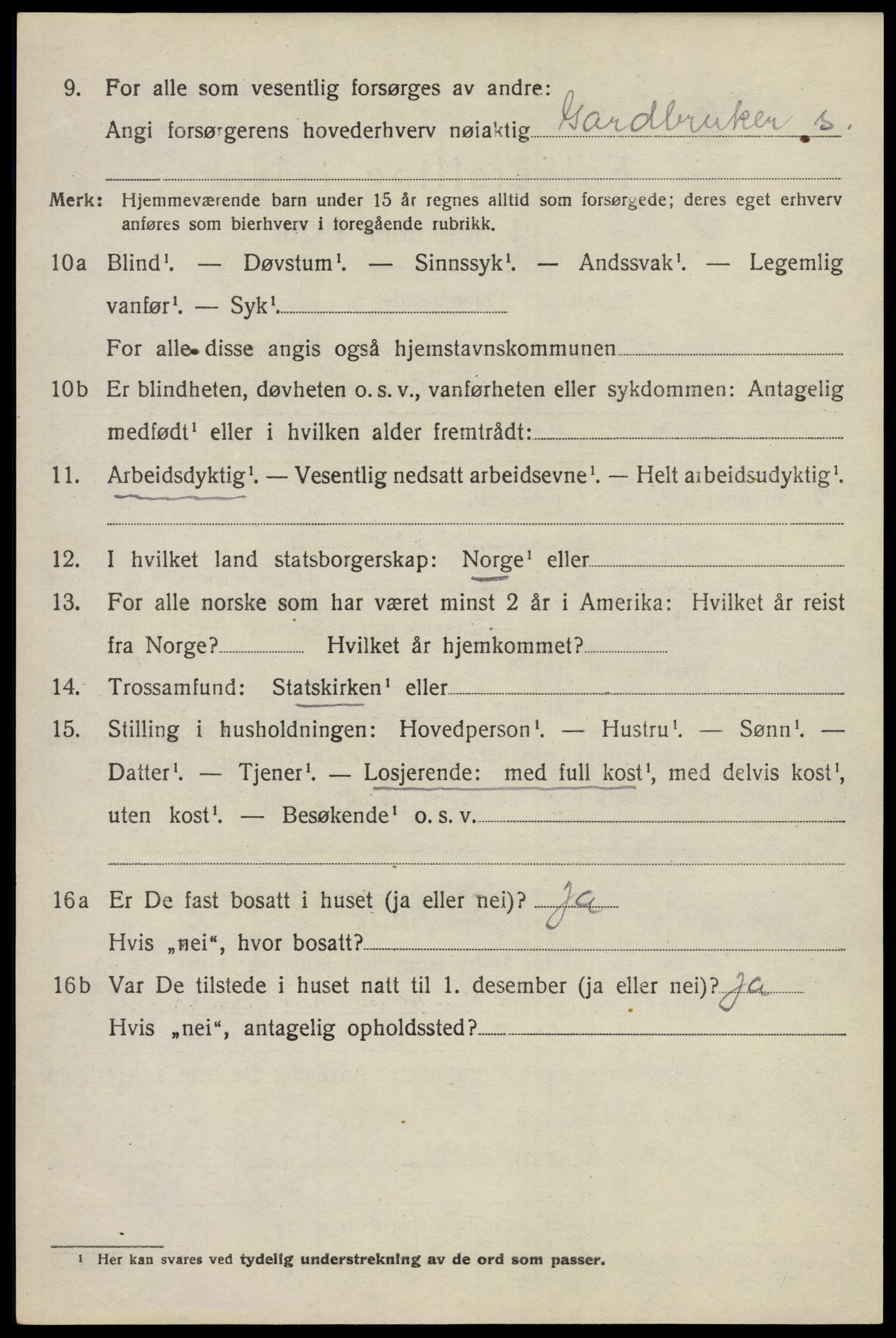 SAO, 1920 census for Nes, 1920, p. 21069