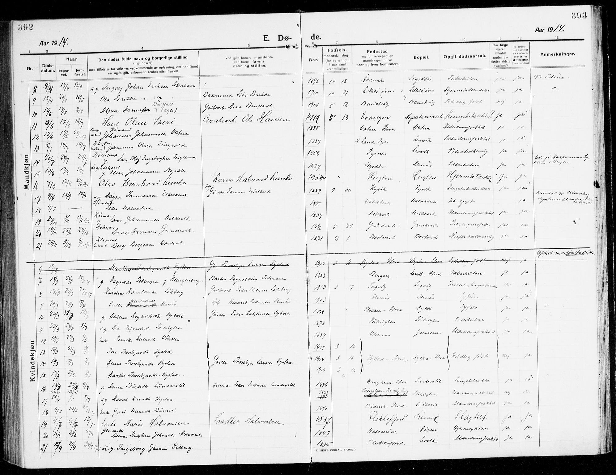 Stord sokneprestembete, AV/SAB-A-78201/H/Haa: Parish register (official) no. B 3, 1913-1925, p. 392-393