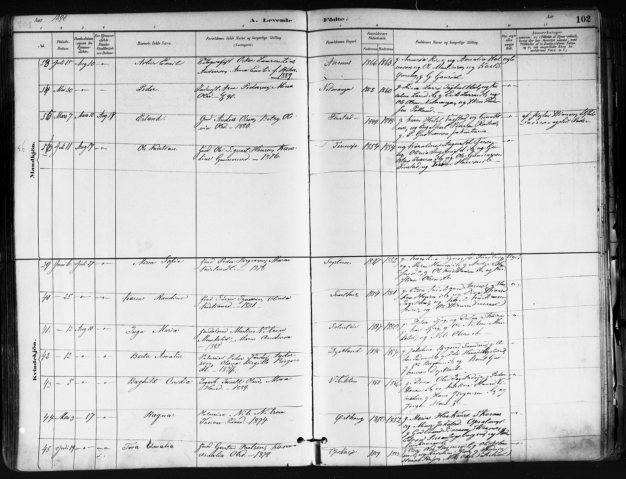 Nes prestekontor Kirkebøker, AV/SAO-A-10410/F/Fa/L0010: Parish register (official) no. I 10, 1883-1898, p. 102