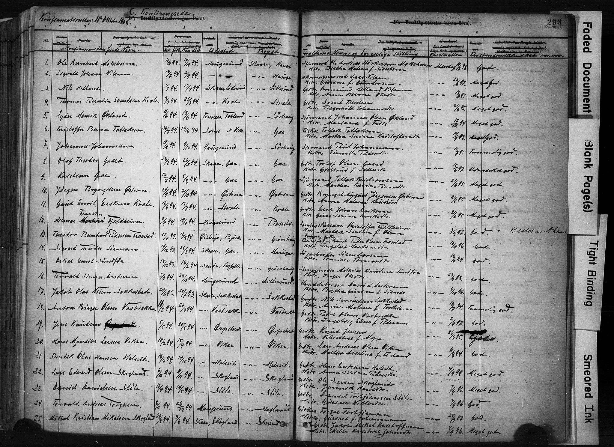 Haugesund sokneprestkontor, AV/SAST-A -101863/H/Ha/Haa/L0004: Parish register (official) no. A 4, 1886-1908, p. 293