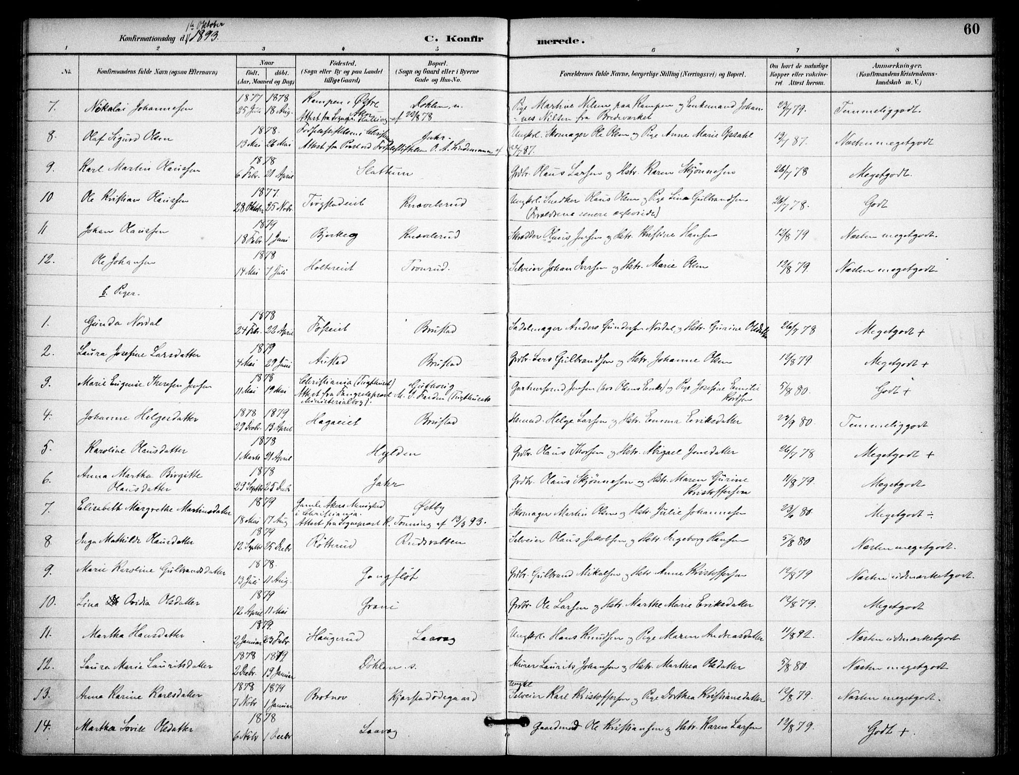 Nannestad prestekontor Kirkebøker, AV/SAO-A-10414a/F/Fb/L0002: Parish register (official) no. II 2, 1891-1909, p. 60