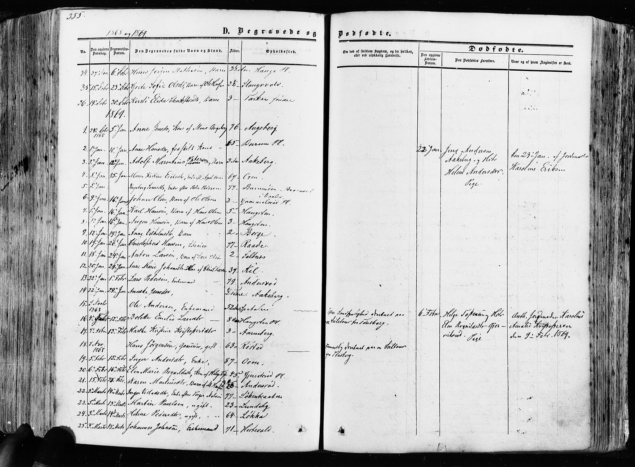 Råde prestekontor kirkebøker, AV/SAO-A-2009/F/Fa/L0006: Parish register (official) no. 6, 1854-1877, p. 355