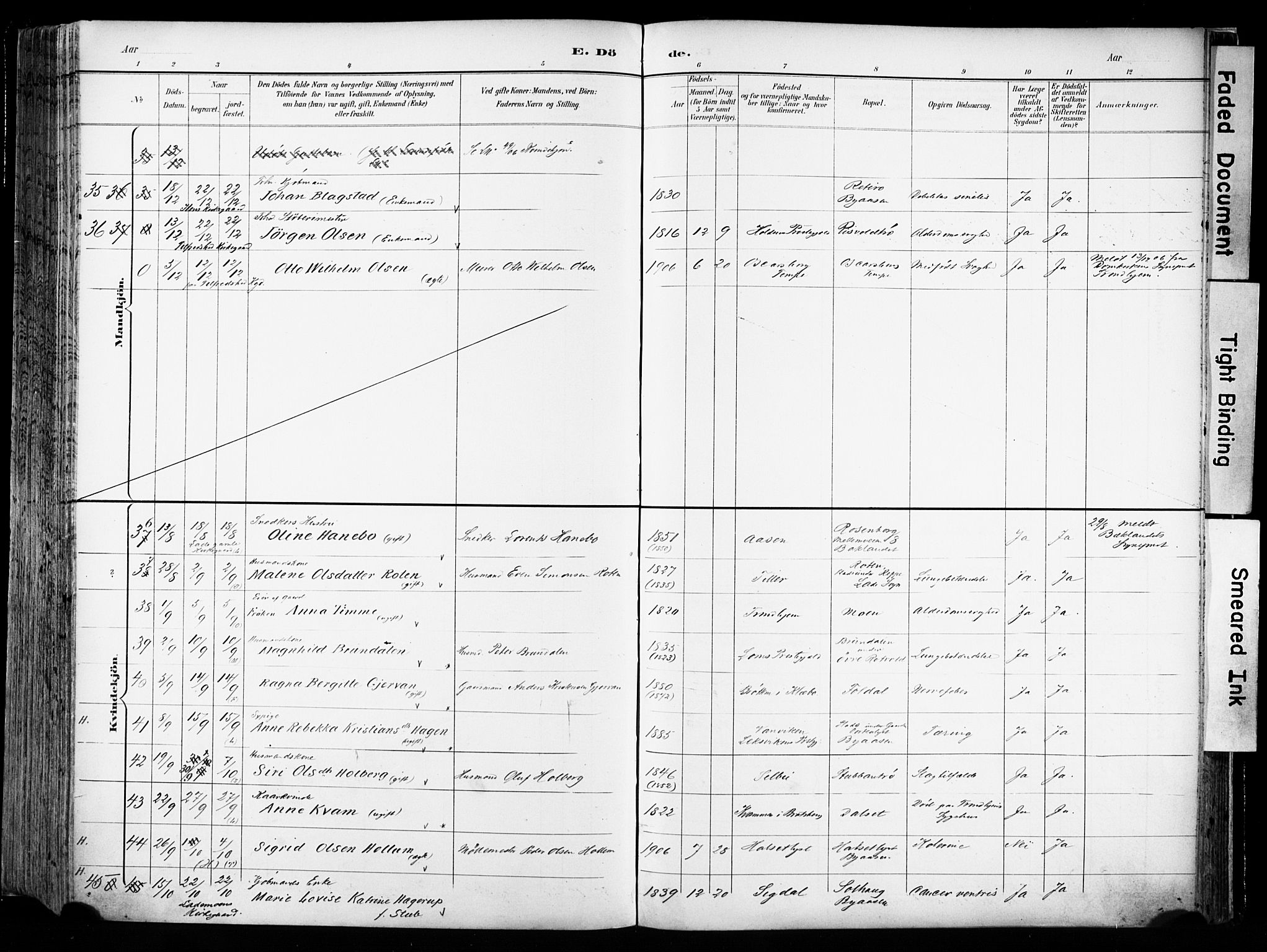 Ministerialprotokoller, klokkerbøker og fødselsregistre - Sør-Trøndelag, AV/SAT-A-1456/606/L0301: Parish register (official) no. 606A16, 1894-1907