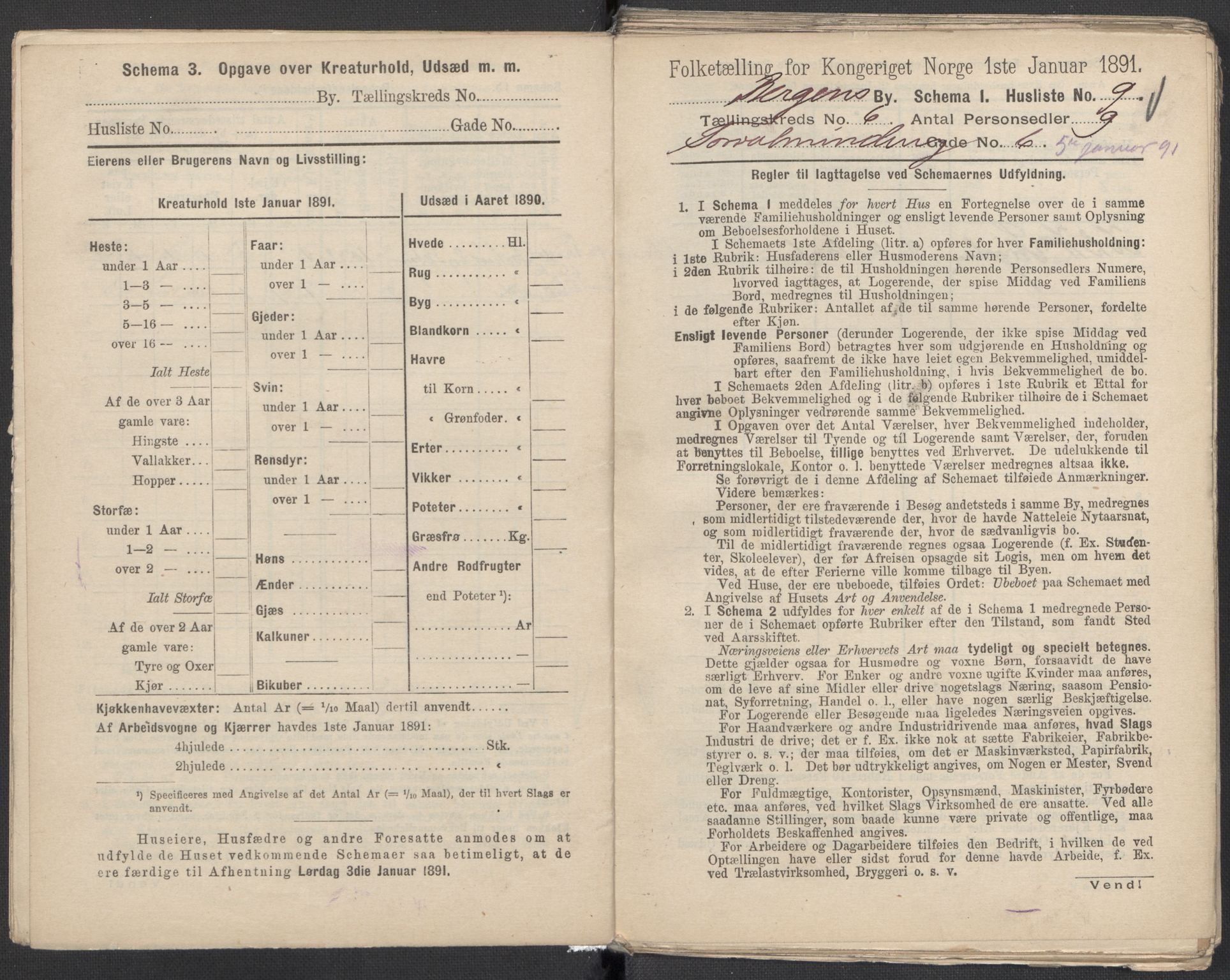 RA, 1891 Census for 1301 Bergen, 1891, p. 1017