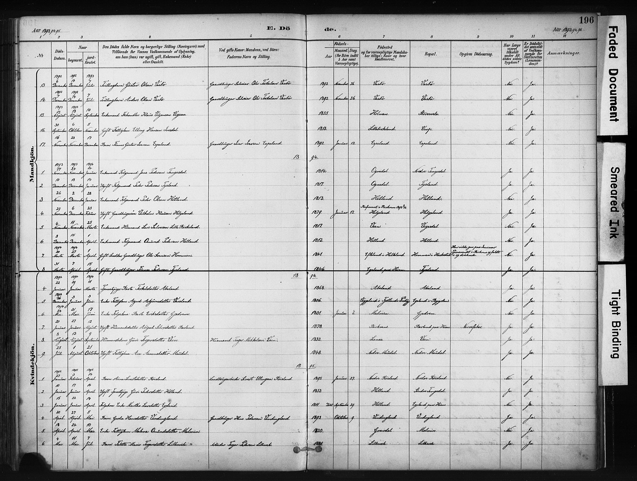 Helleland sokneprestkontor, AV/SAST-A-101810: Parish register (official) no. A 9, 1887-1908, p. 196