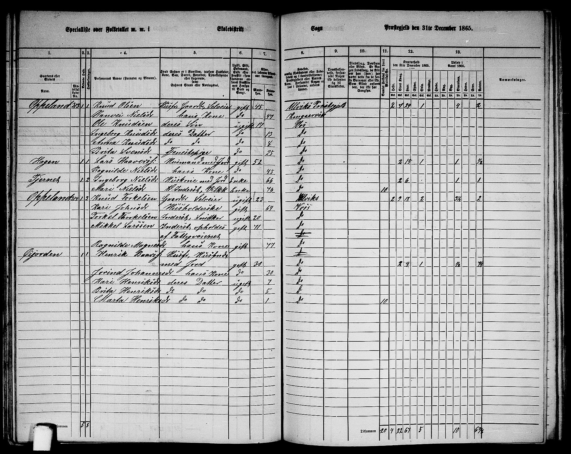 RA, 1865 census for Voss, 1865, p. 134