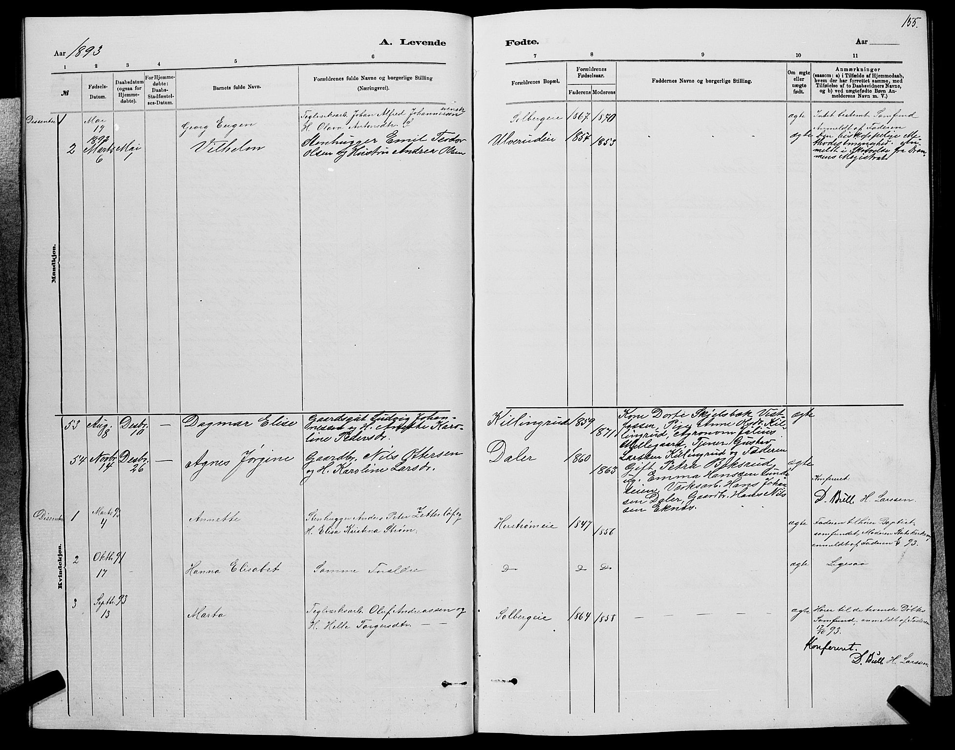 Nedre Eiker kirkebøker, AV/SAKO-A-612/G/Ga/L0002: Parish register (copy) no. 2, 1880-1896, p. 155