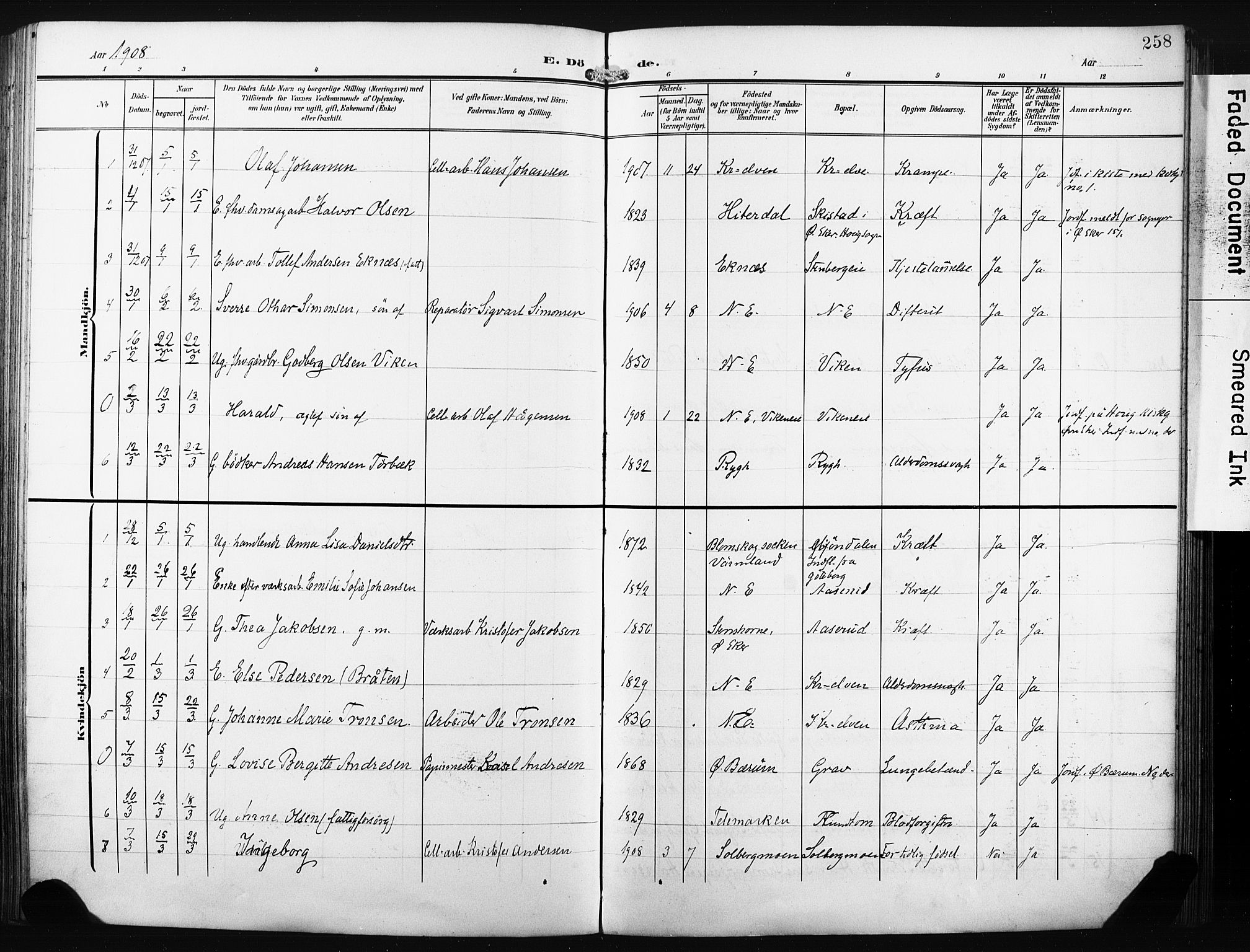 Nedre Eiker kirkebøker, AV/SAKO-A-612/F/Fa/L0006: Parish register (official) no. 6, 1906-1912, p. 258