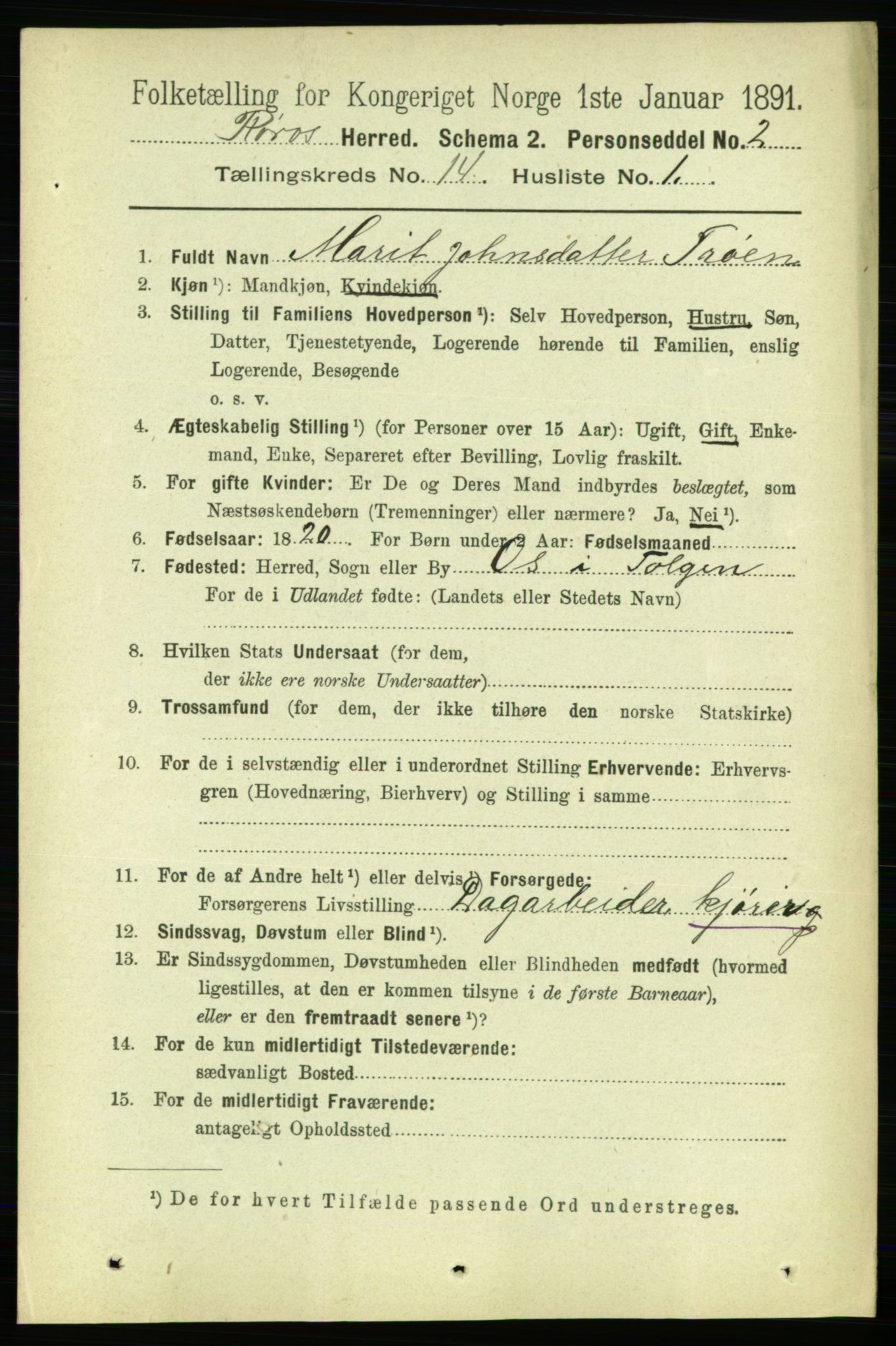 RA, 1891 census for 1640 Røros, 1891, p. 2878