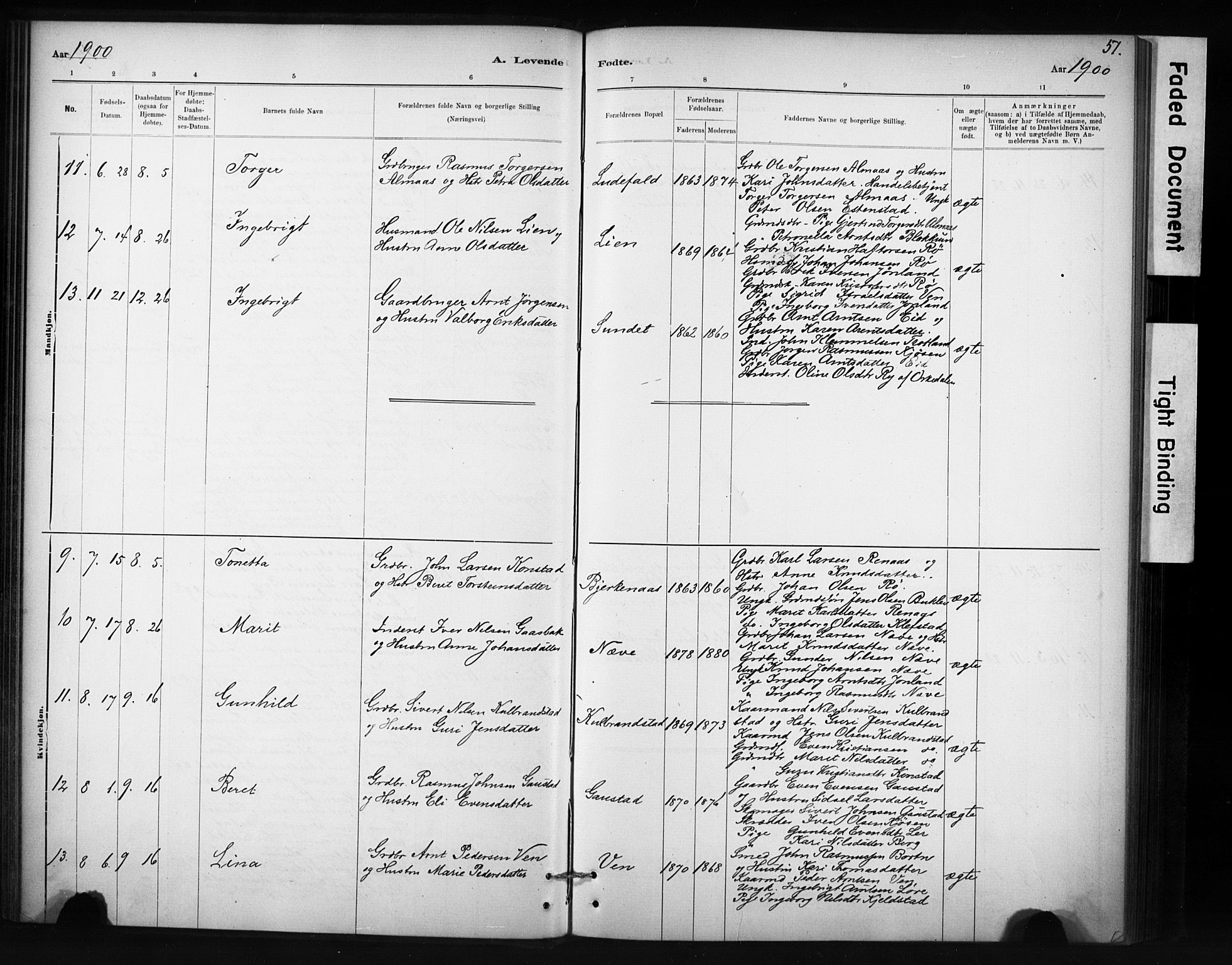 Ministerialprotokoller, klokkerbøker og fødselsregistre - Sør-Trøndelag, AV/SAT-A-1456/694/L1127: Parish register (official) no. 694A01, 1887-1905, p. 51