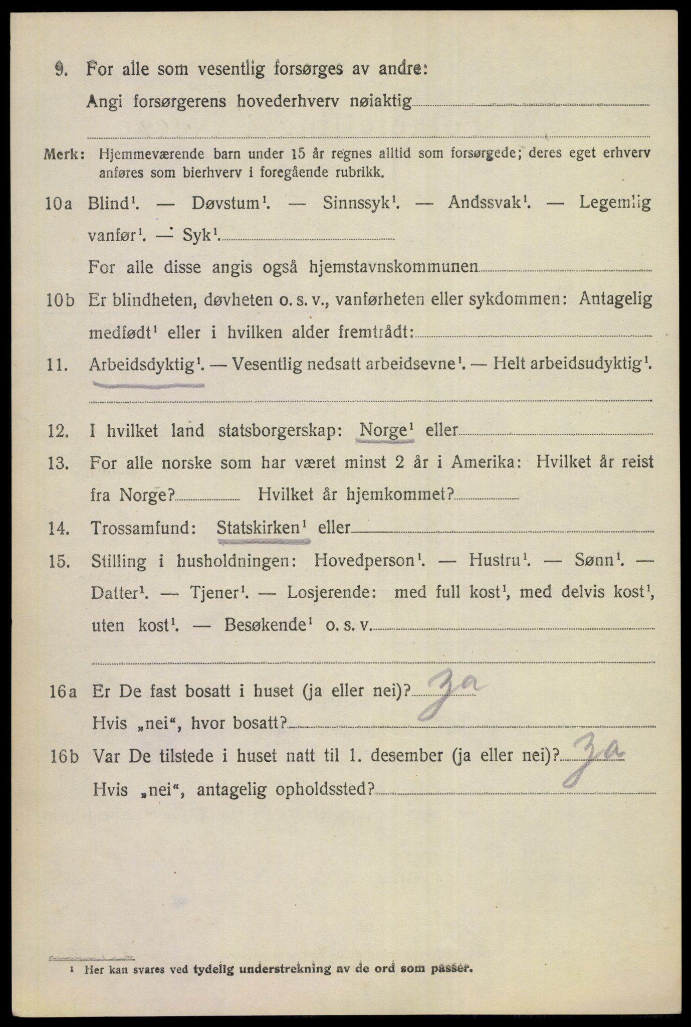SAKO, 1920 census for Hol (Buskerud), 1920, p. 2914
