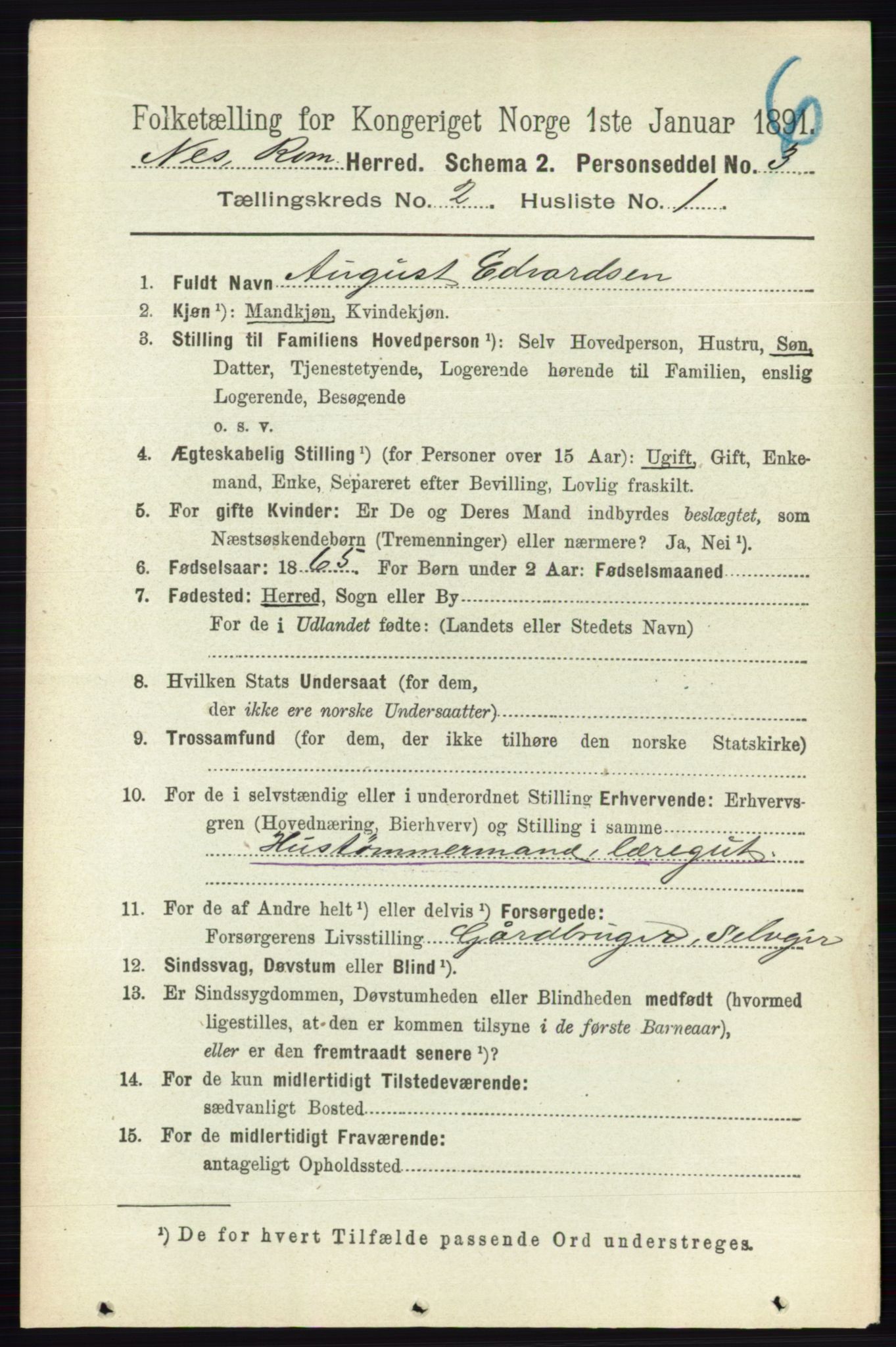 RA, 1891 census for 0236 Nes, 1891, p. 941