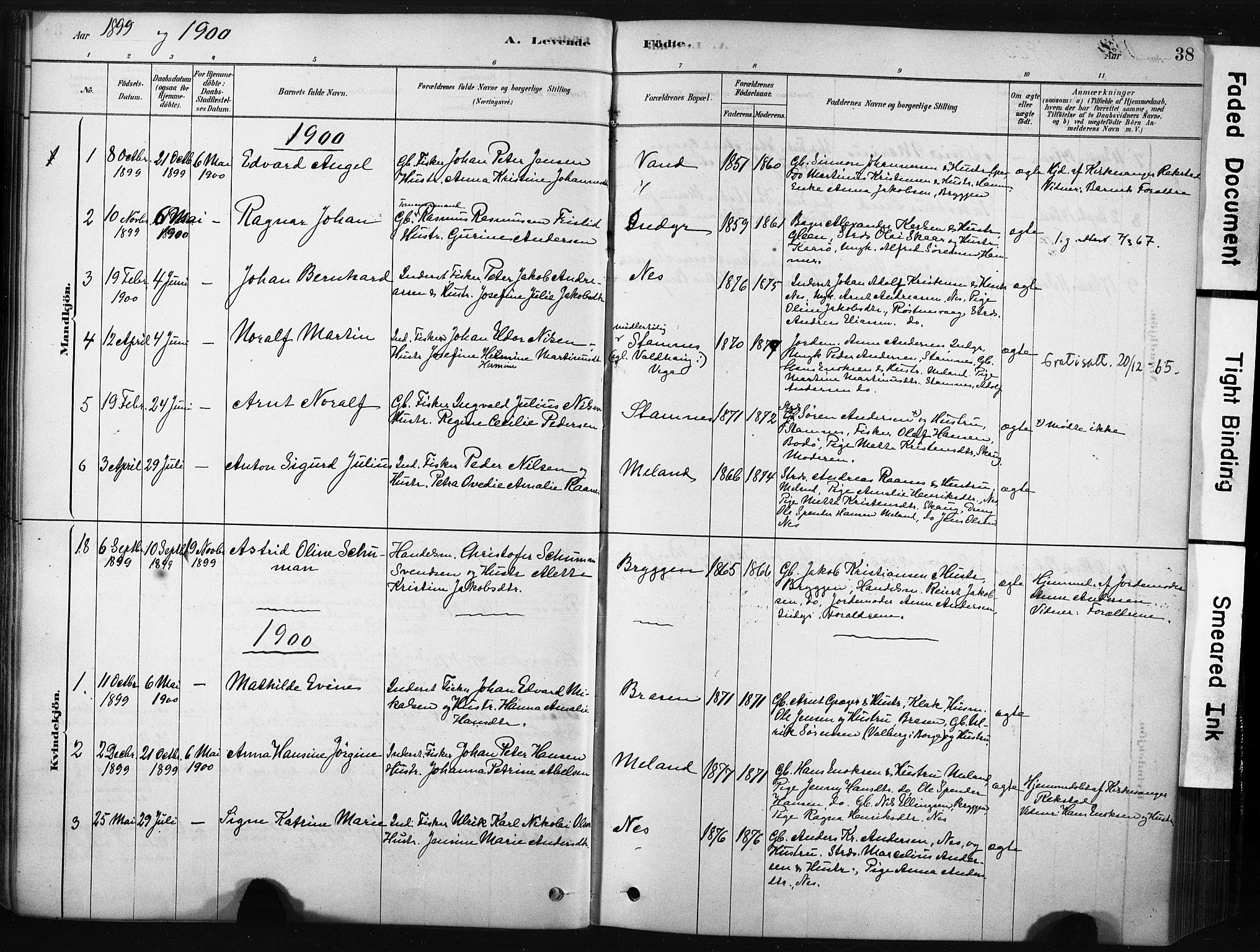 Ministerialprotokoller, klokkerbøker og fødselsregistre - Nordland, AV/SAT-A-1459/808/L0128: Parish register (official) no. 808A01, 1880-1902, p. 38