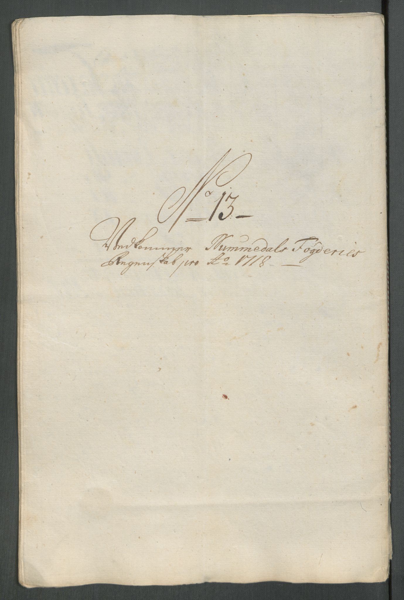 Rentekammeret inntil 1814, Reviderte regnskaper, Fogderegnskap, AV/RA-EA-4092/R64/L4439: Fogderegnskap Namdal, 1718, p. 145