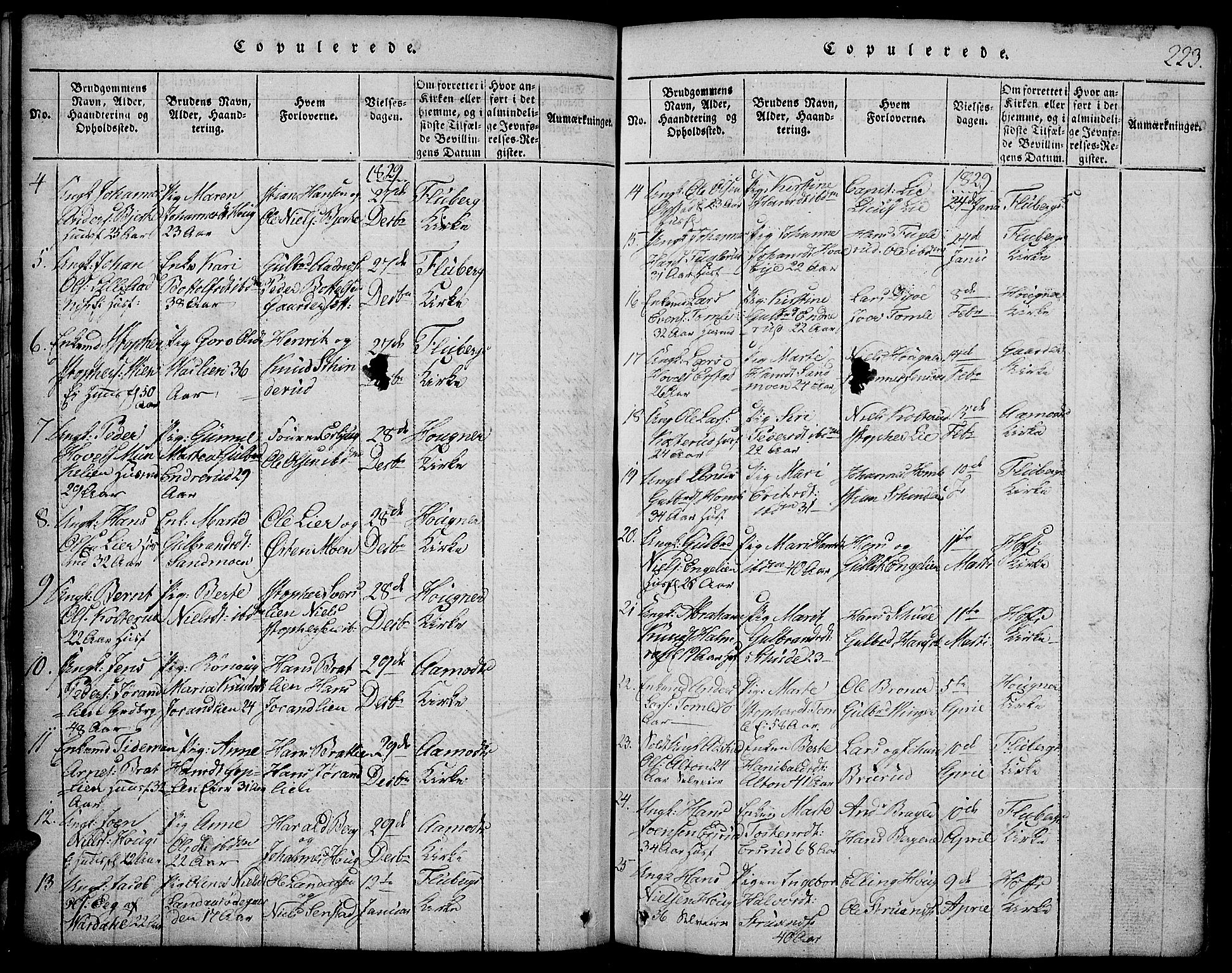 Land prestekontor, SAH/PREST-120/H/Ha/Hab/L0001: Parish register (copy) no. 1, 1814-1833, p. 223