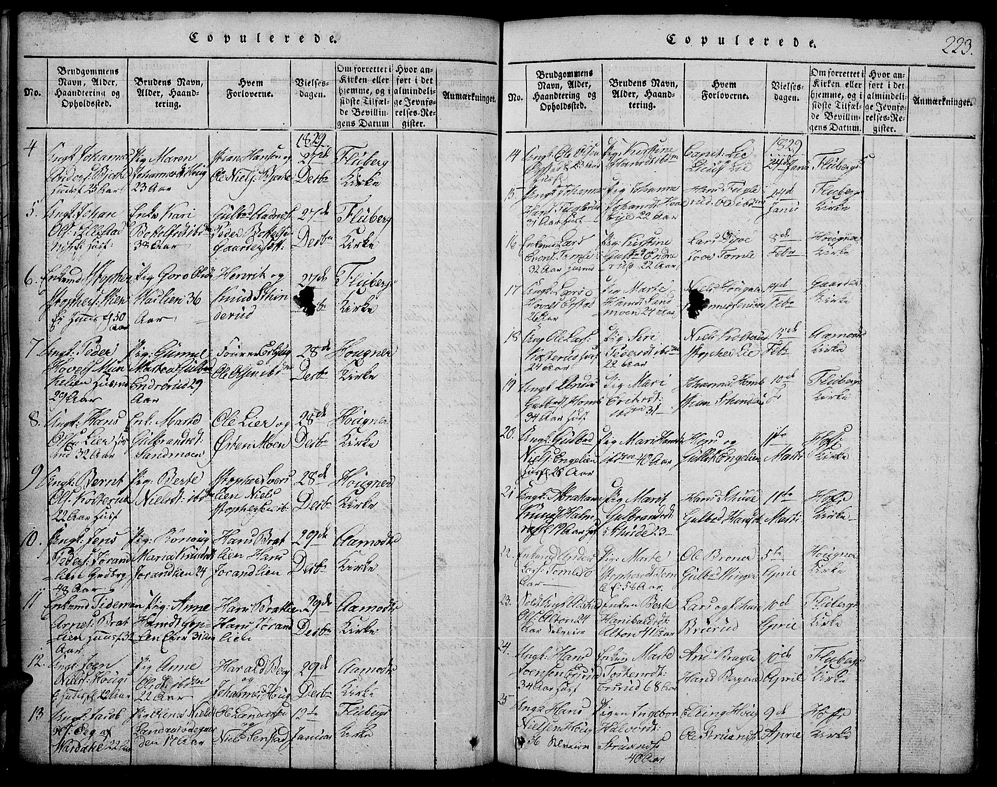 Land prestekontor, AV/SAH-PREST-120/H/Ha/Hab/L0001: Parish register (copy) no. 1, 1814-1833, p. 223