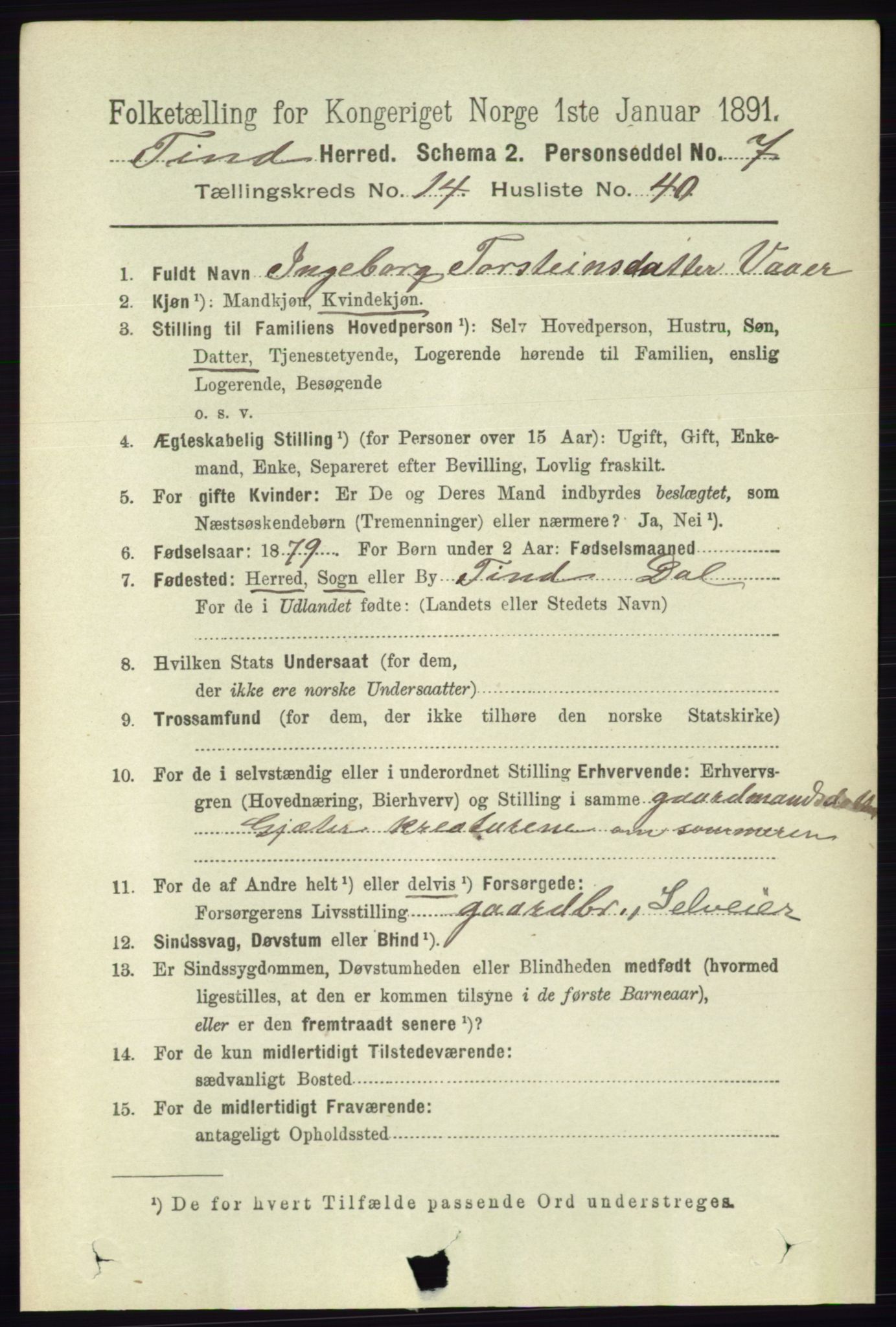 RA, 1891 census for 0826 Tinn, 1891, p. 3069