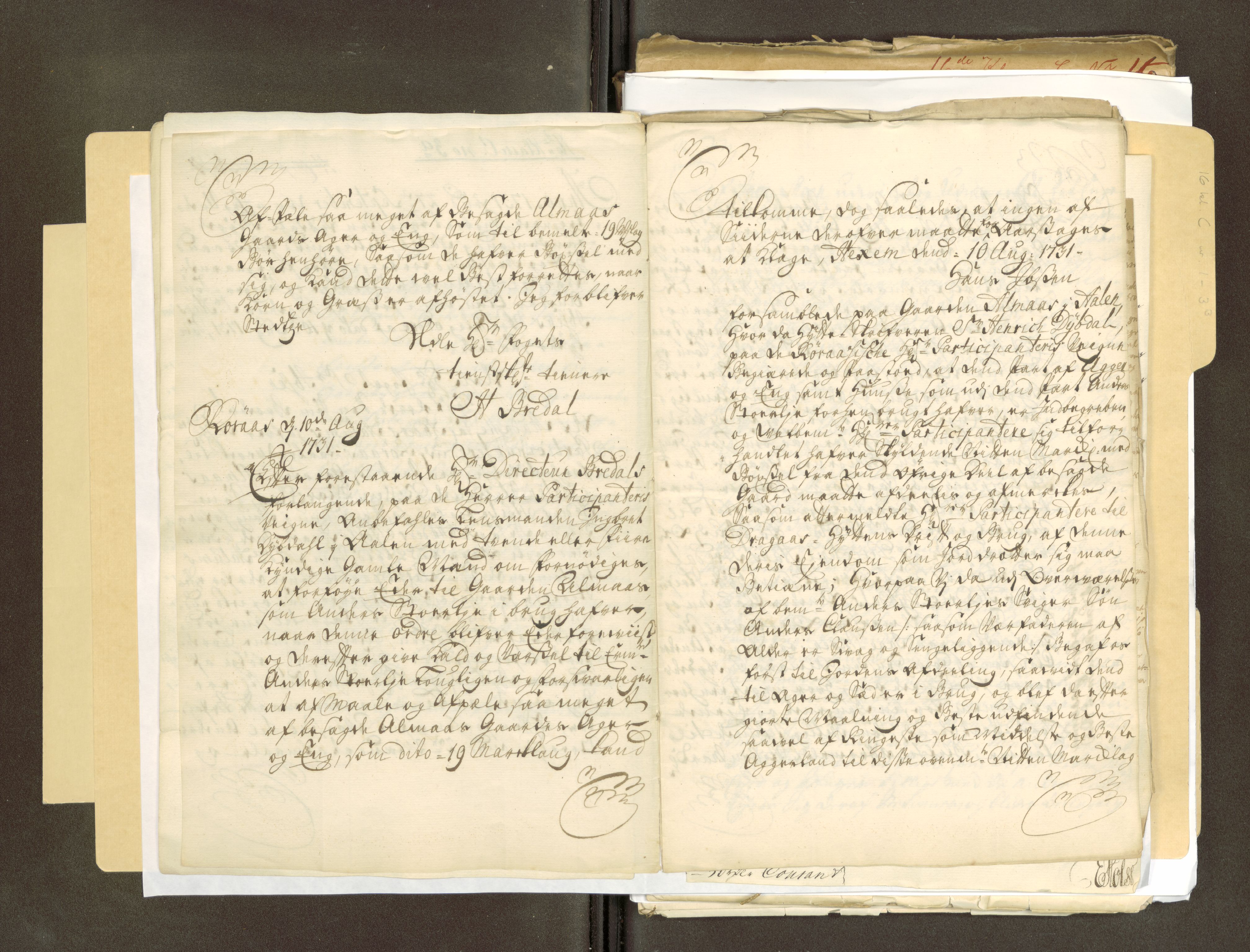 Røros kobberverk, AV/SAT-PA-0211/1/16/16C/L0001: Jordegodset i Ålen, 1729-1904, p. 13