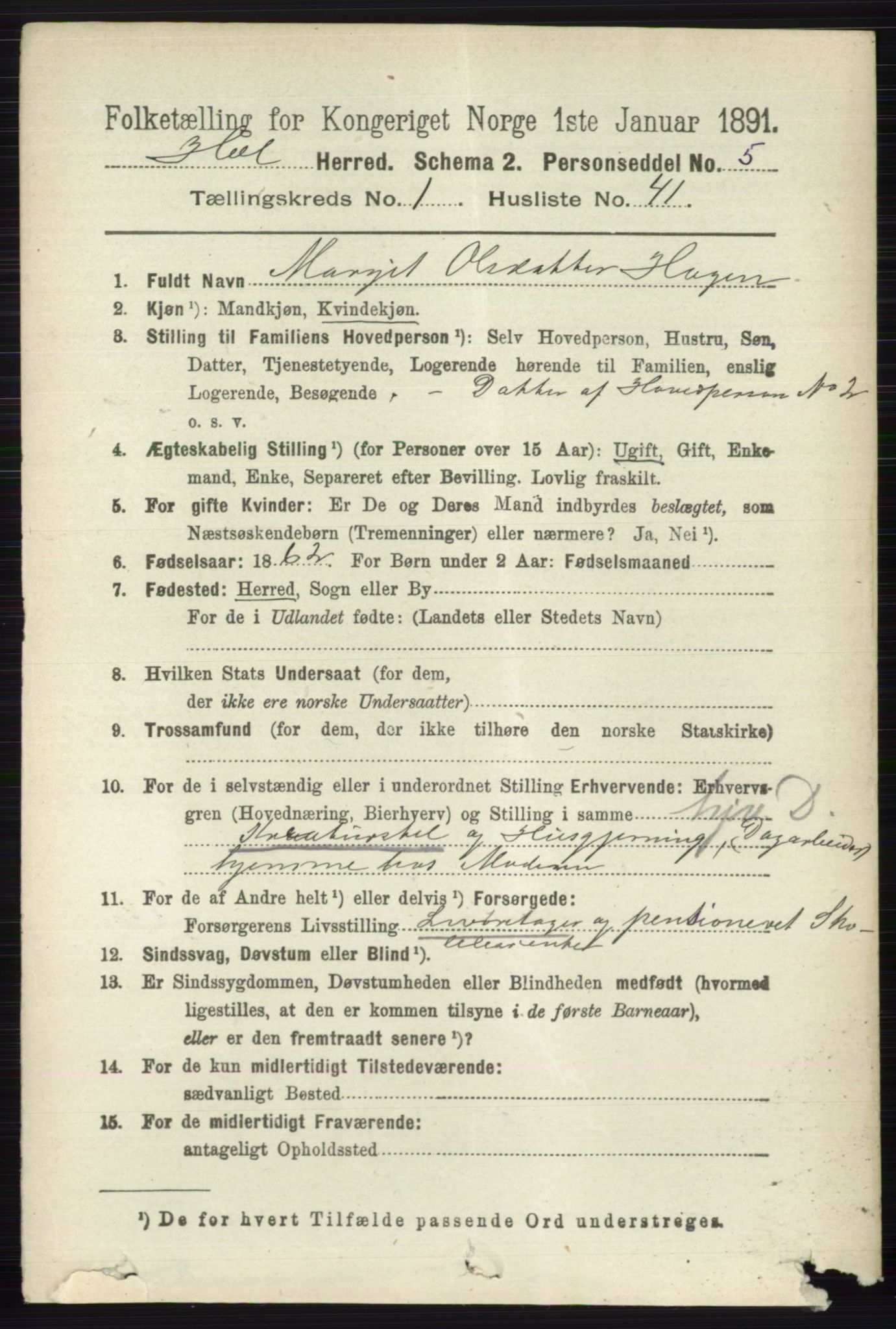 RA, 1891 census for 0620 Hol, 1891, p. 280