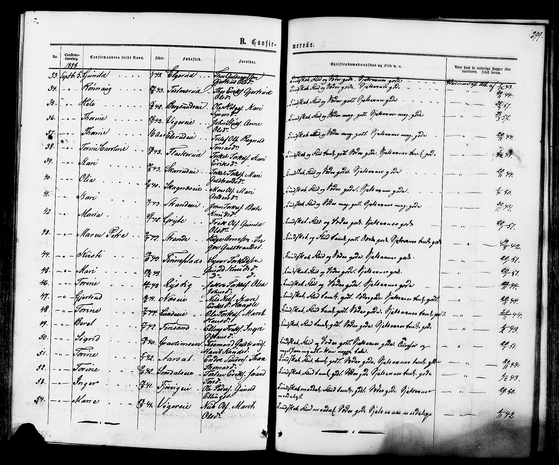 Ådal kirkebøker, AV/SAKO-A-248/F/Fa/L0001: Parish register (official) no. I 1, 1857-1883, p. 299