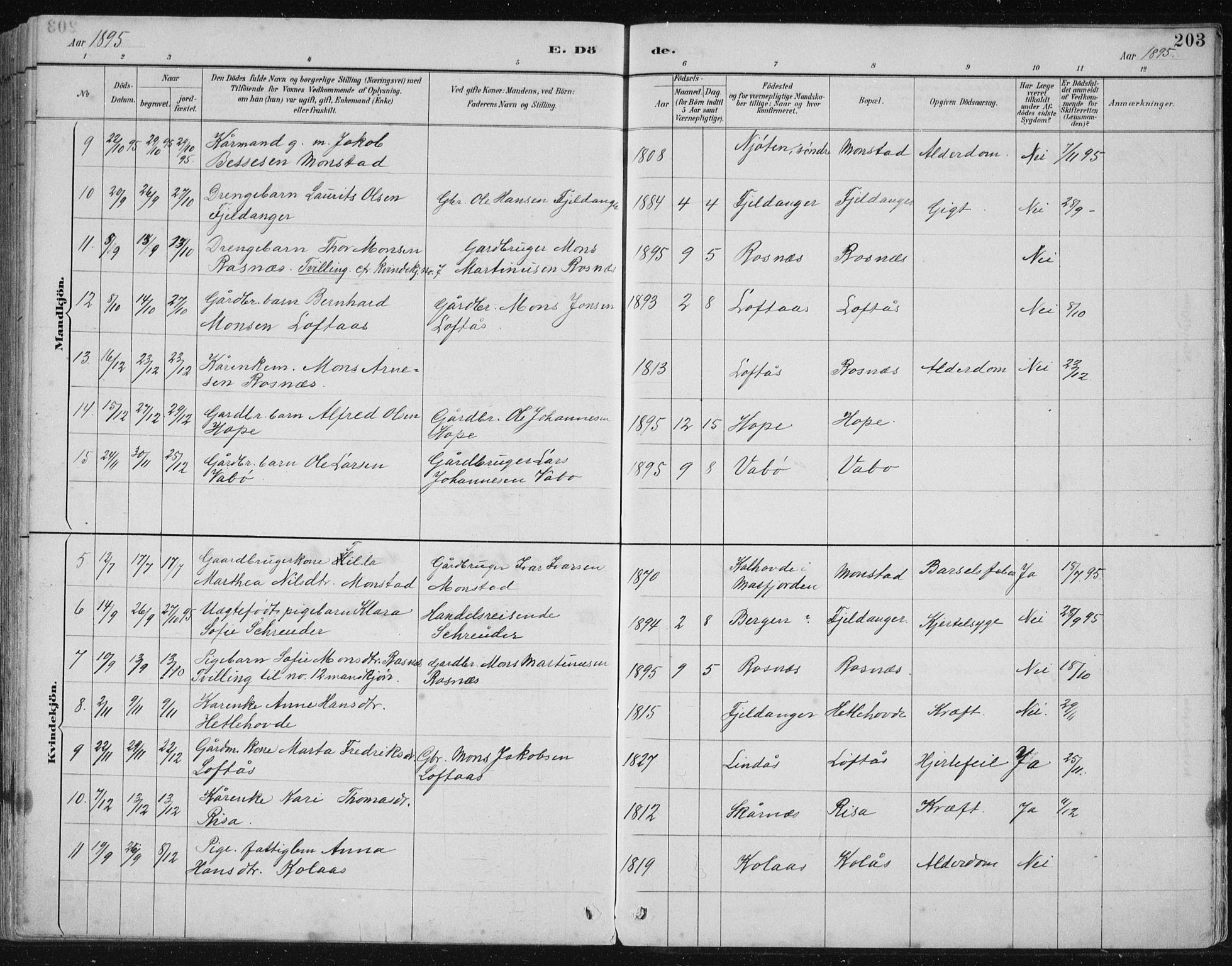 Lindås Sokneprestembete, SAB/A-76701/H/Hab: Parish register (copy) no. B 3, 1886-1914, p. 203