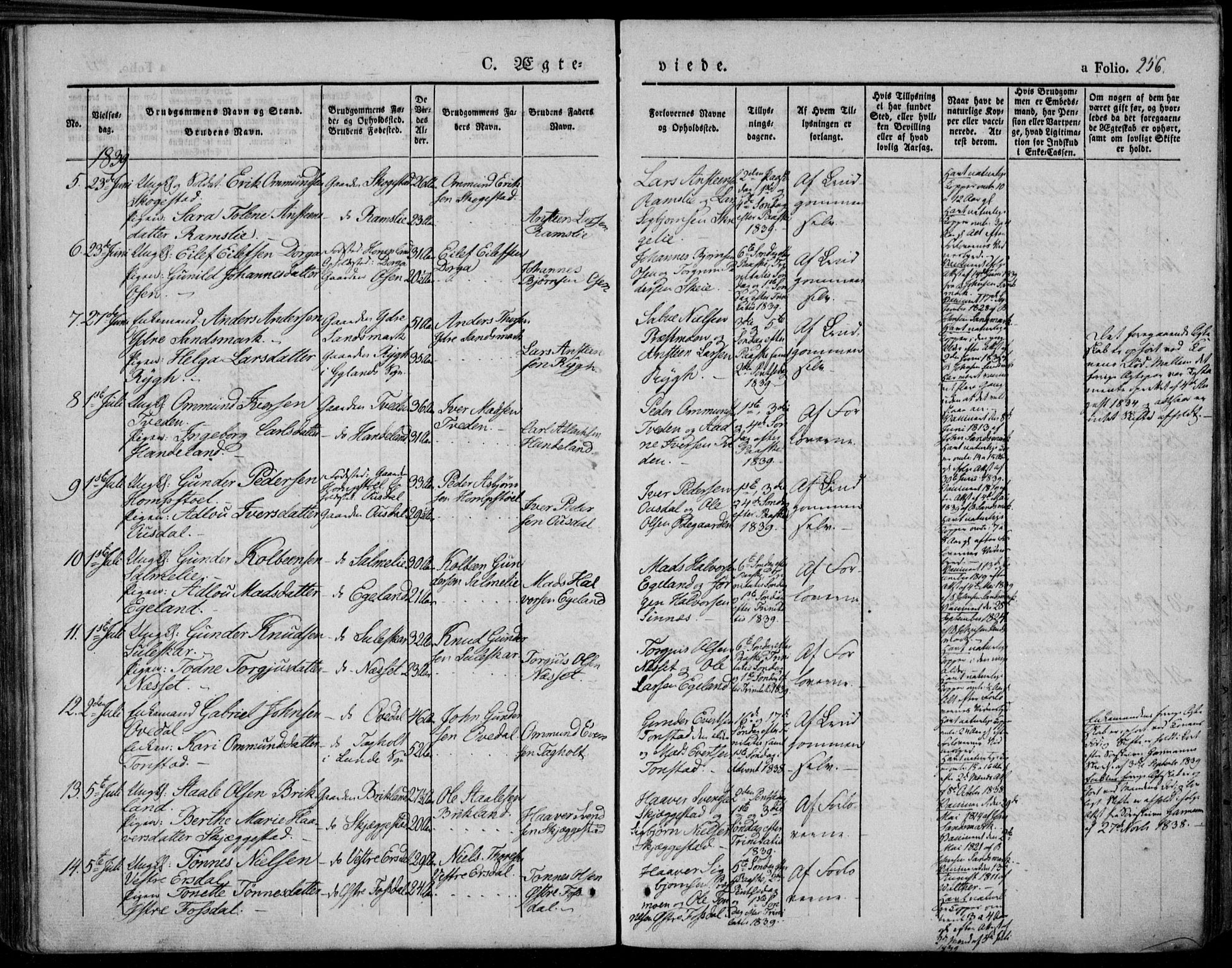 Bakke sokneprestkontor, AV/SAK-1111-0002/F/Fa/Faa/L0004: Parish register (official) no. A 4, 1834-1846, p. 256