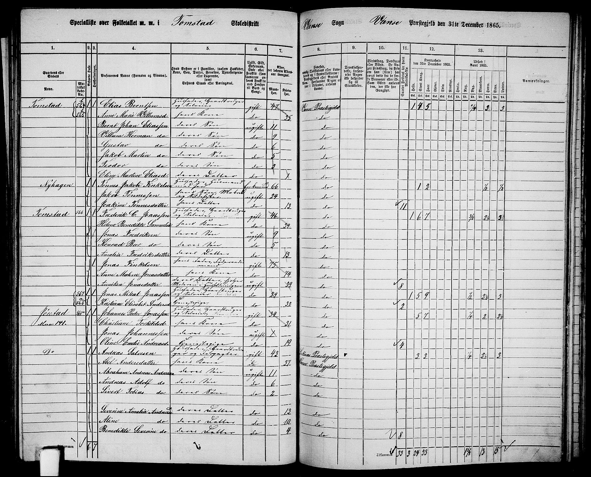 RA, 1865 census for Vanse/Vanse og Farsund, 1865, p. 213