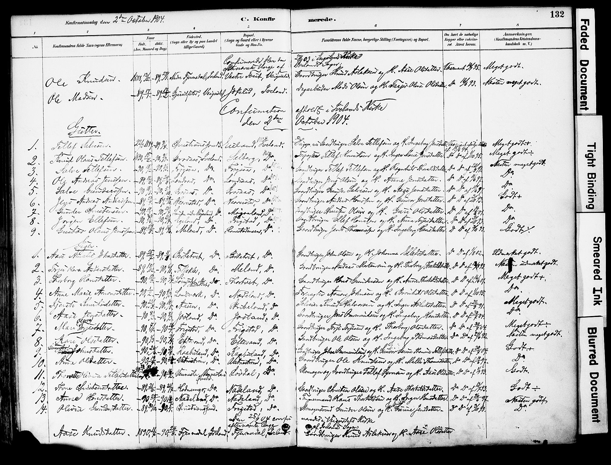 Evje sokneprestkontor, AV/SAK-1111-0008/F/Fa/Fac/L0003: Parish register (official) no. A 3, 1884-1909, p. 132