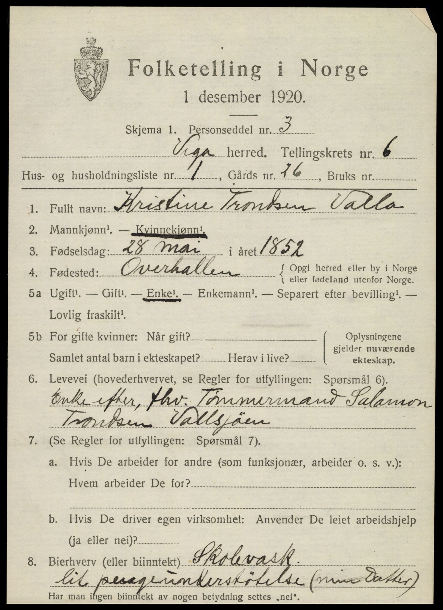 SAT, 1920 census for Vega, 1920, p. 2963