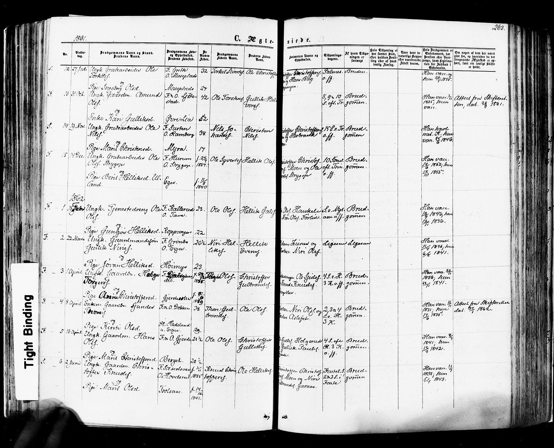 Flesberg kirkebøker, SAKO/A-18/F/Fa/L0007: Parish register (official) no. I 7, 1861-1878, p. 263