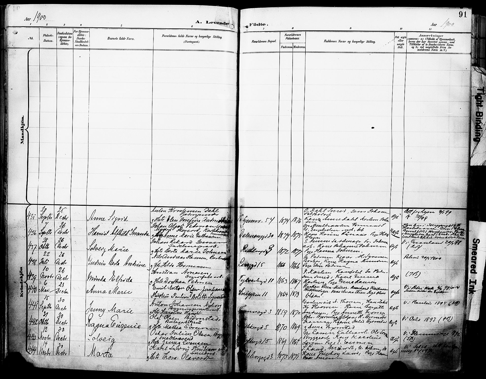 Petrus prestekontor Kirkebøker, AV/SAO-A-10872/F/Fa/L0005: Parish register (official) no. 5, 1899-1903, p. 91