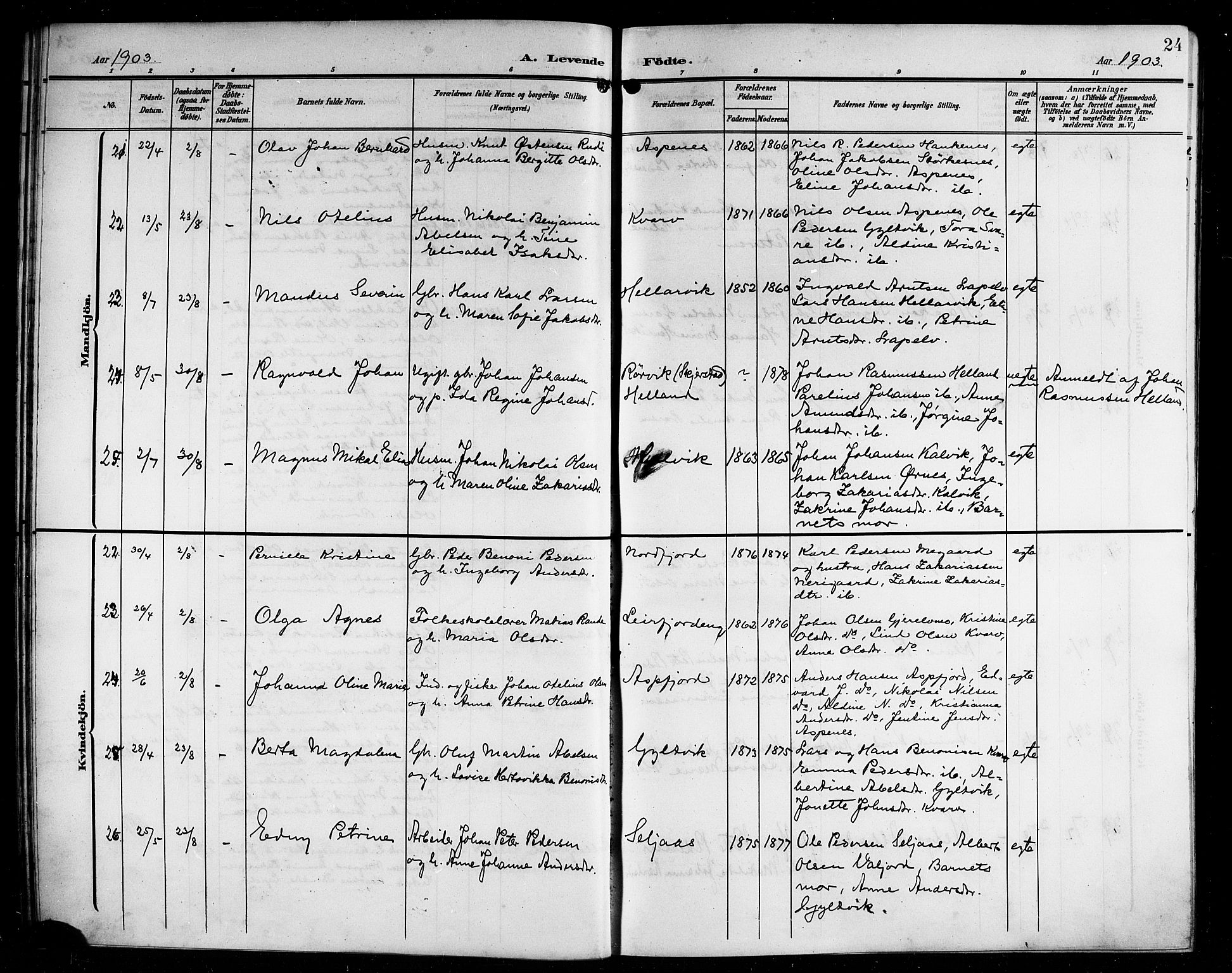 Ministerialprotokoller, klokkerbøker og fødselsregistre - Nordland, AV/SAT-A-1459/854/L0786: Parish register (copy) no. 854C02, 1901-1912, p. 24