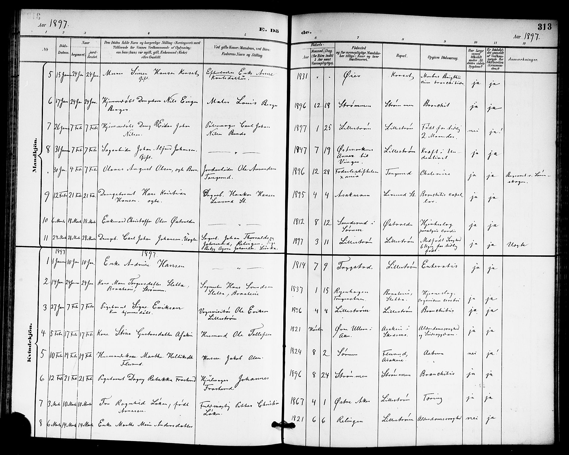 Skedsmo prestekontor Kirkebøker, SAO/A-10033a/G/Ga/L0005a: Parish register (copy) no. I 5A, 1896-1901, p. 313